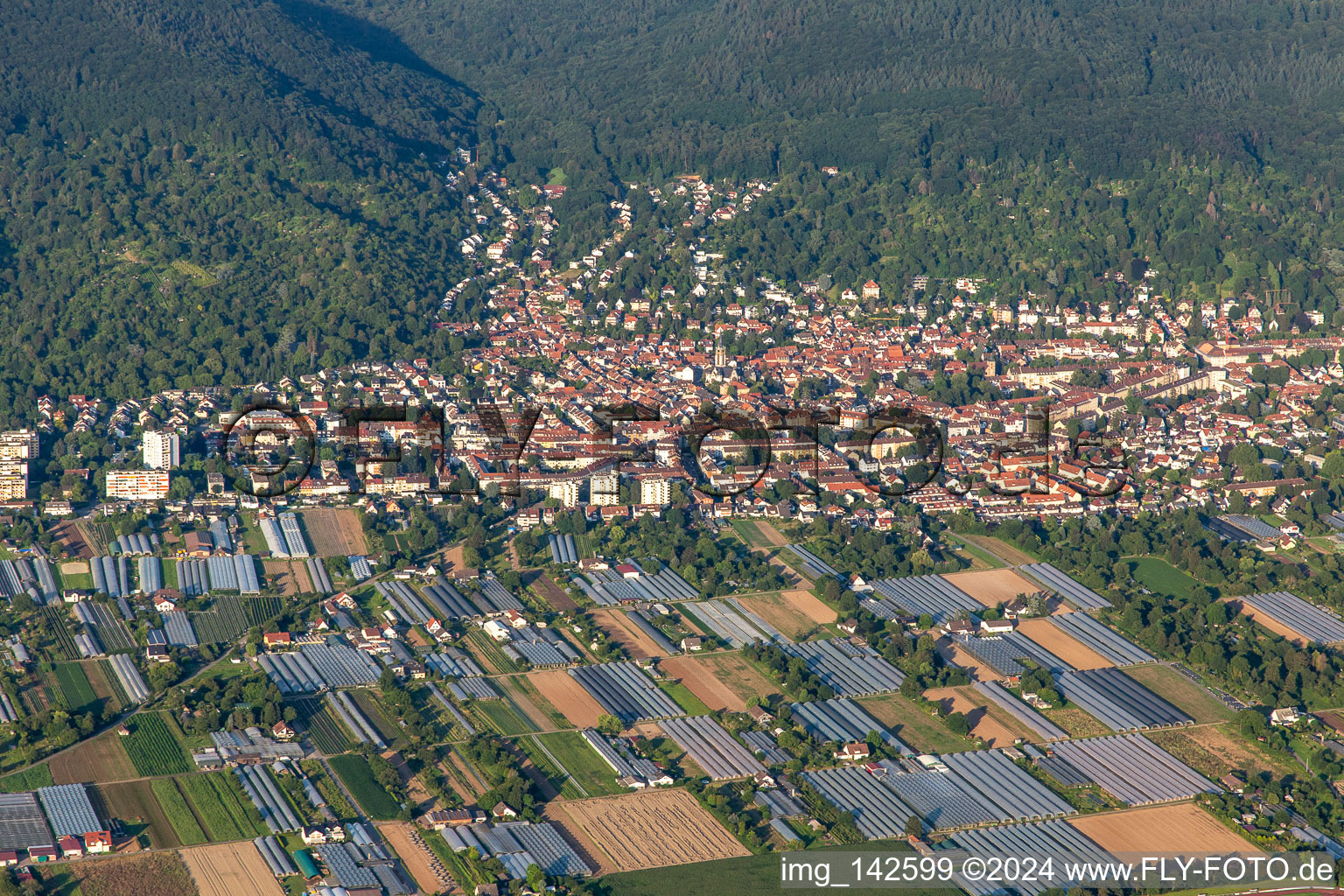 From the west in the district Handschuhsheim in Heidelberg in the state Baden-Wuerttemberg, Germany