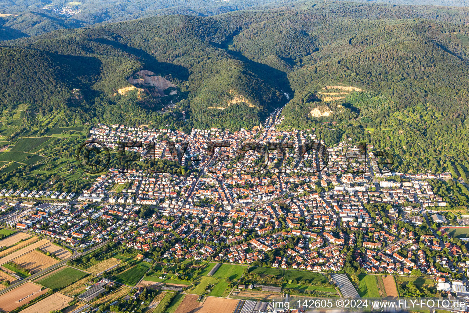 From the west in Dossenheim in the state Baden-Wuerttemberg, Germany