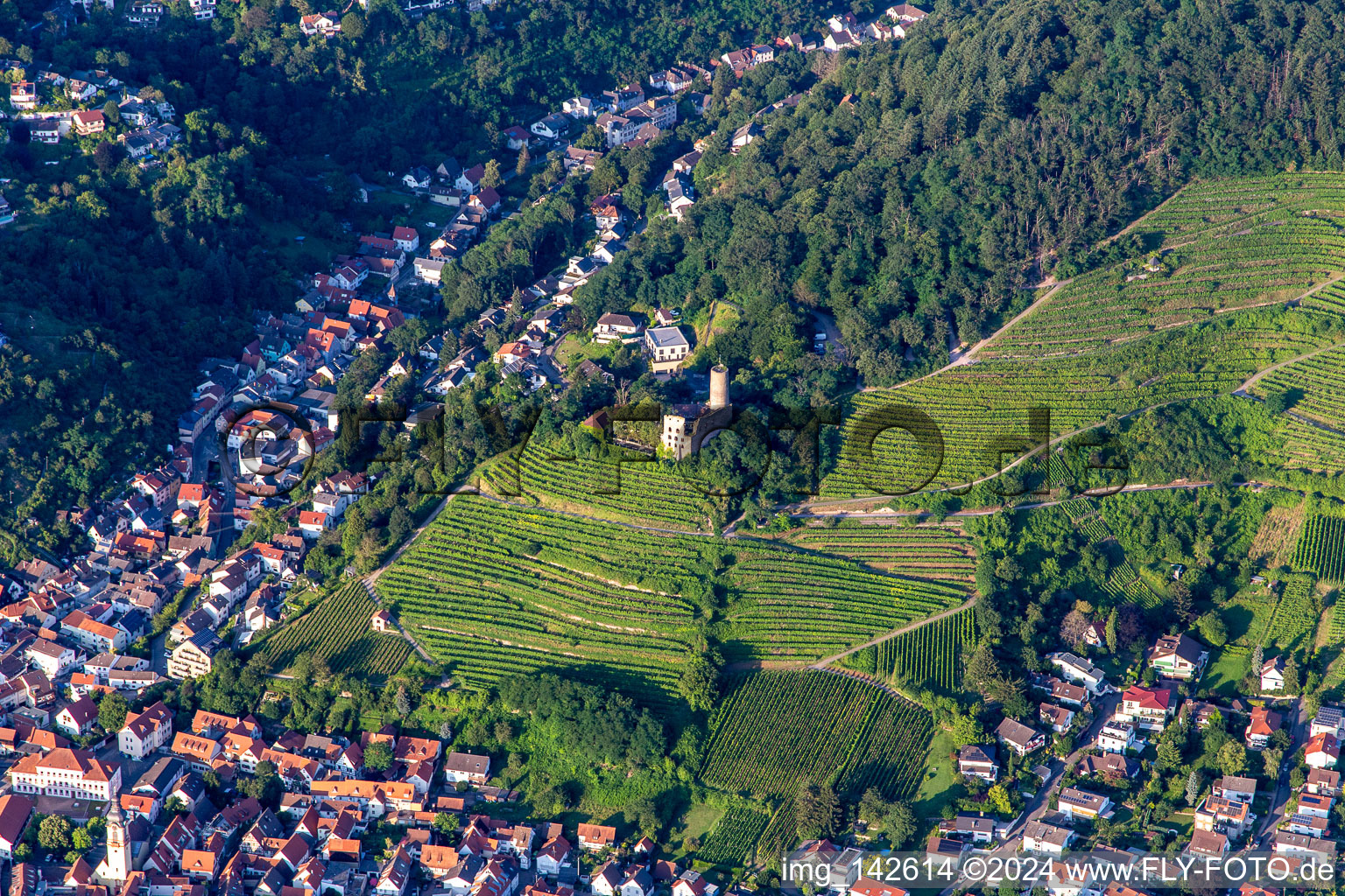 Aerial view of Schauenburg Castle Ruins in Schriesheim in the state Baden-Wuerttemberg, Germany