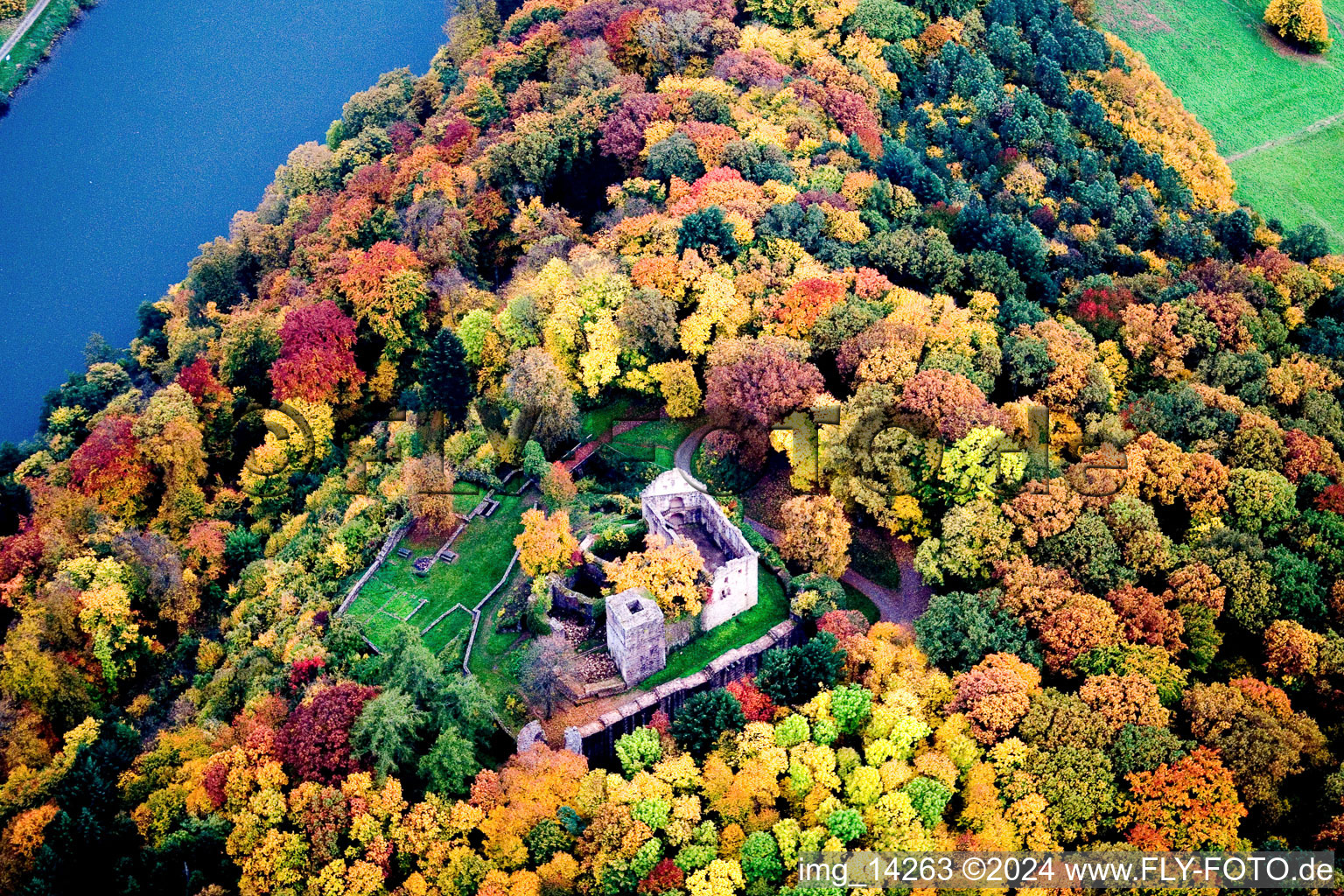 Ruins and remains of the walls of the former Minneburg castle in the autumn forest above the Neckar in the district Neckarkatzenbach in Neunkirchen in the state Baden-Wuerttemberg, Germany