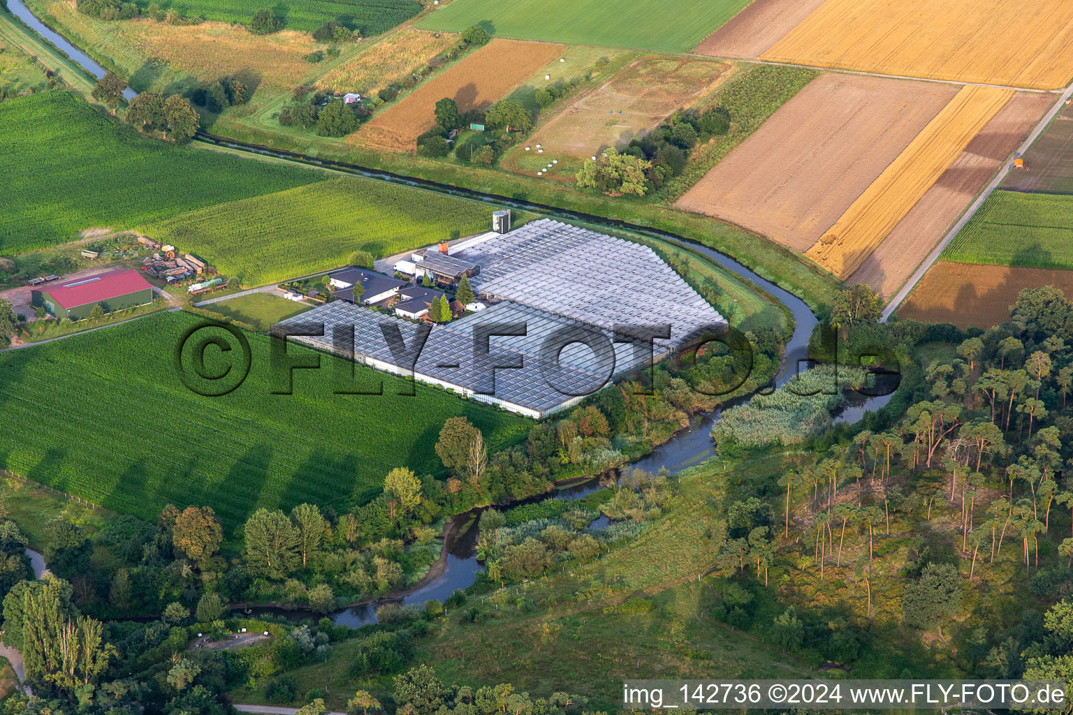 Nursery at the renaturalized Weschnitzbogen at the Wattenheimer Bridge in Lorsch in the state Hesse, Germany