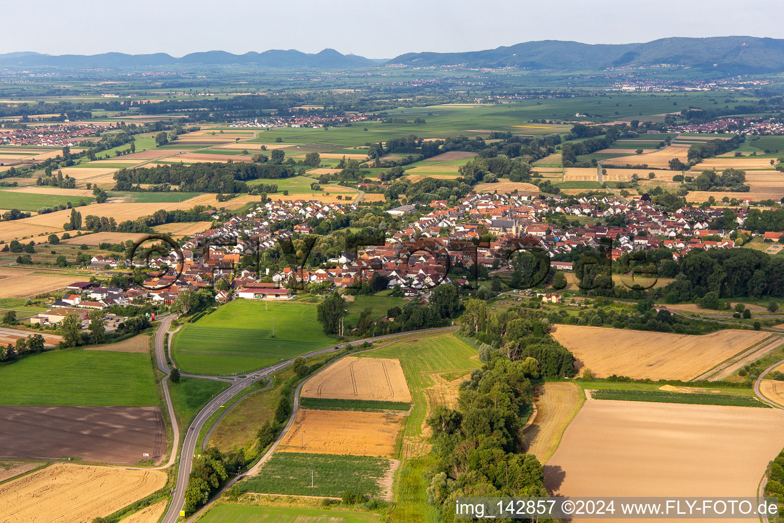 From northeast in the district Geinsheim in Neustadt an der Weinstraße in the state Rhineland-Palatinate, Germany