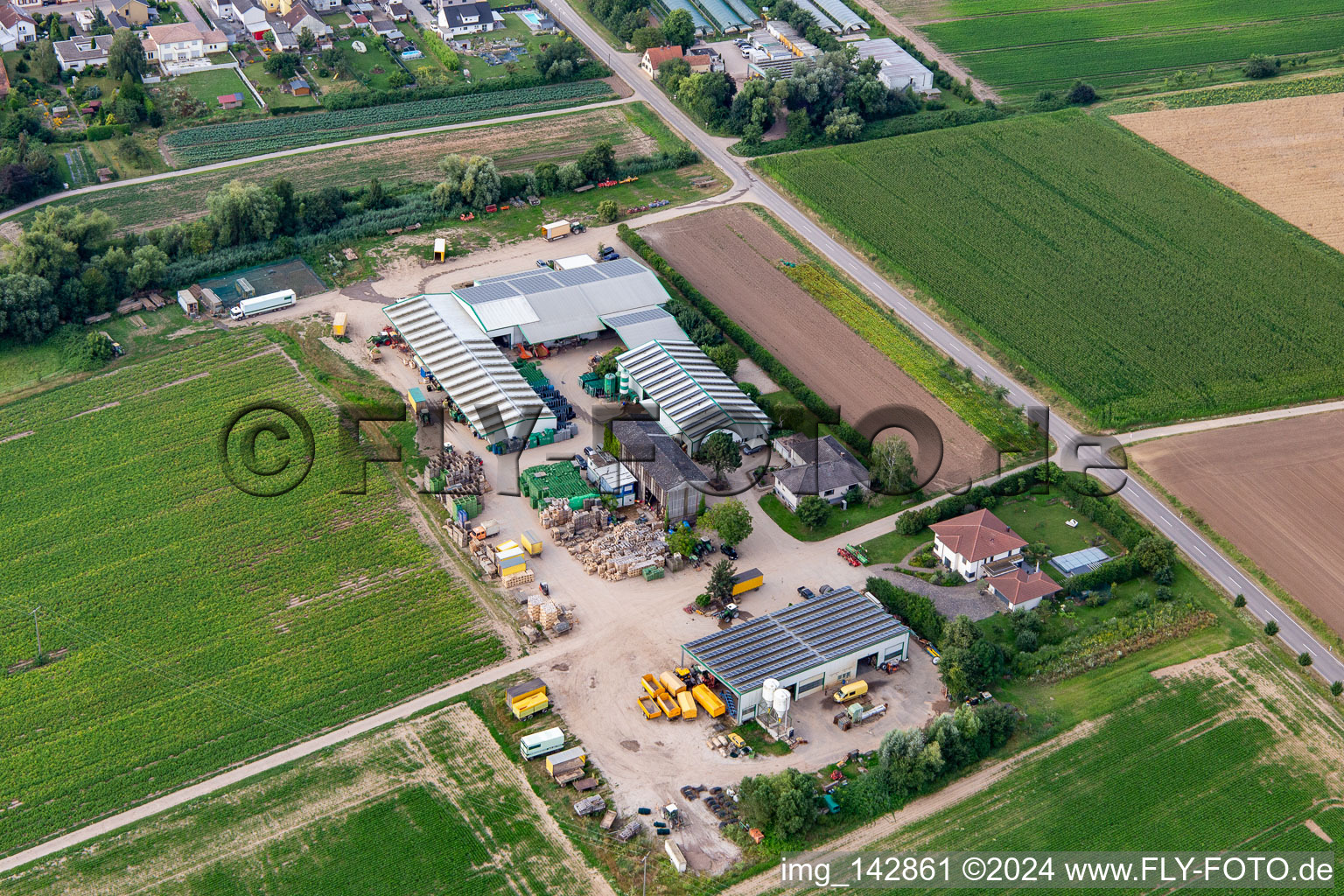 Grafenländer vegetables in Freisbach in the state Rhineland-Palatinate, Germany