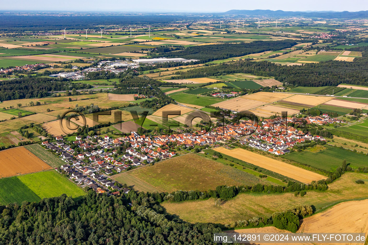 Bird's eye view of From northeast in Erlenbach bei Kandel in the state Rhineland-Palatinate, Germany