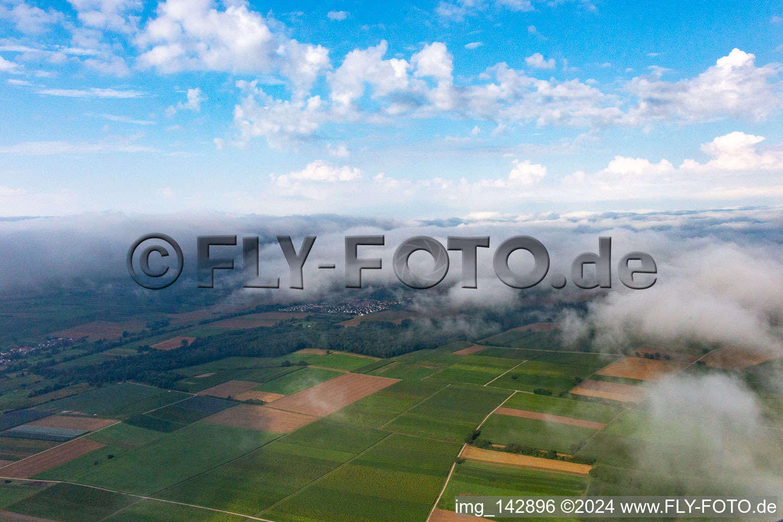 Under low clouds in Barbelroth in the state Rhineland-Palatinate, Germany