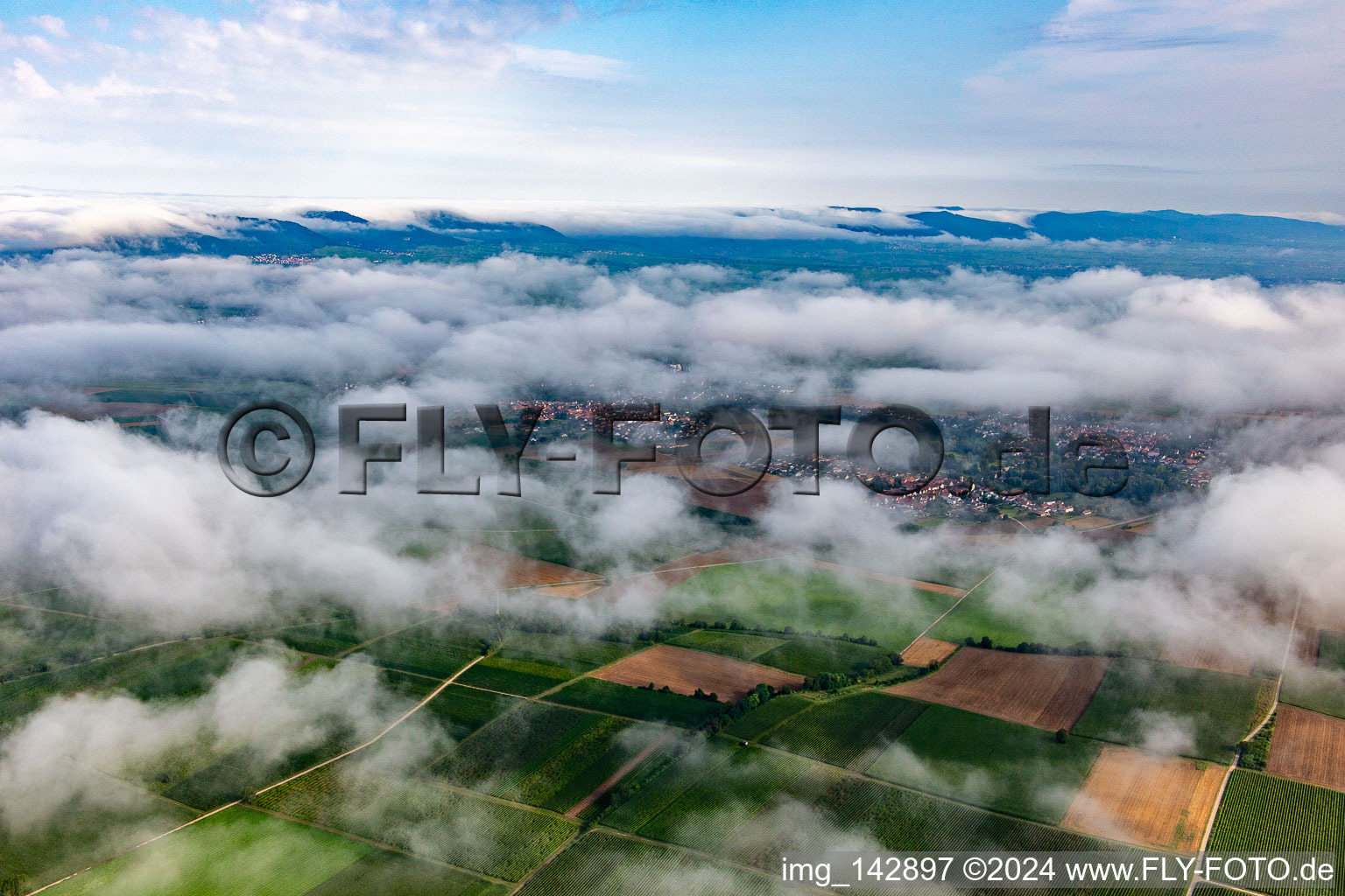 Under low clouds in the district Ingenheim in Billigheim-Ingenheim in the state Rhineland-Palatinate, Germany