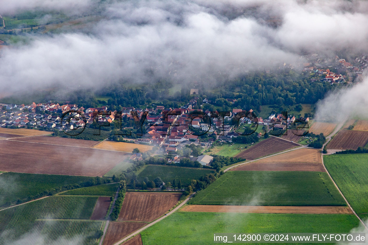 Forest road from the south under clouds in the district Mühlhofen in Billigheim-Ingenheim in the state Rhineland-Palatinate, Germany