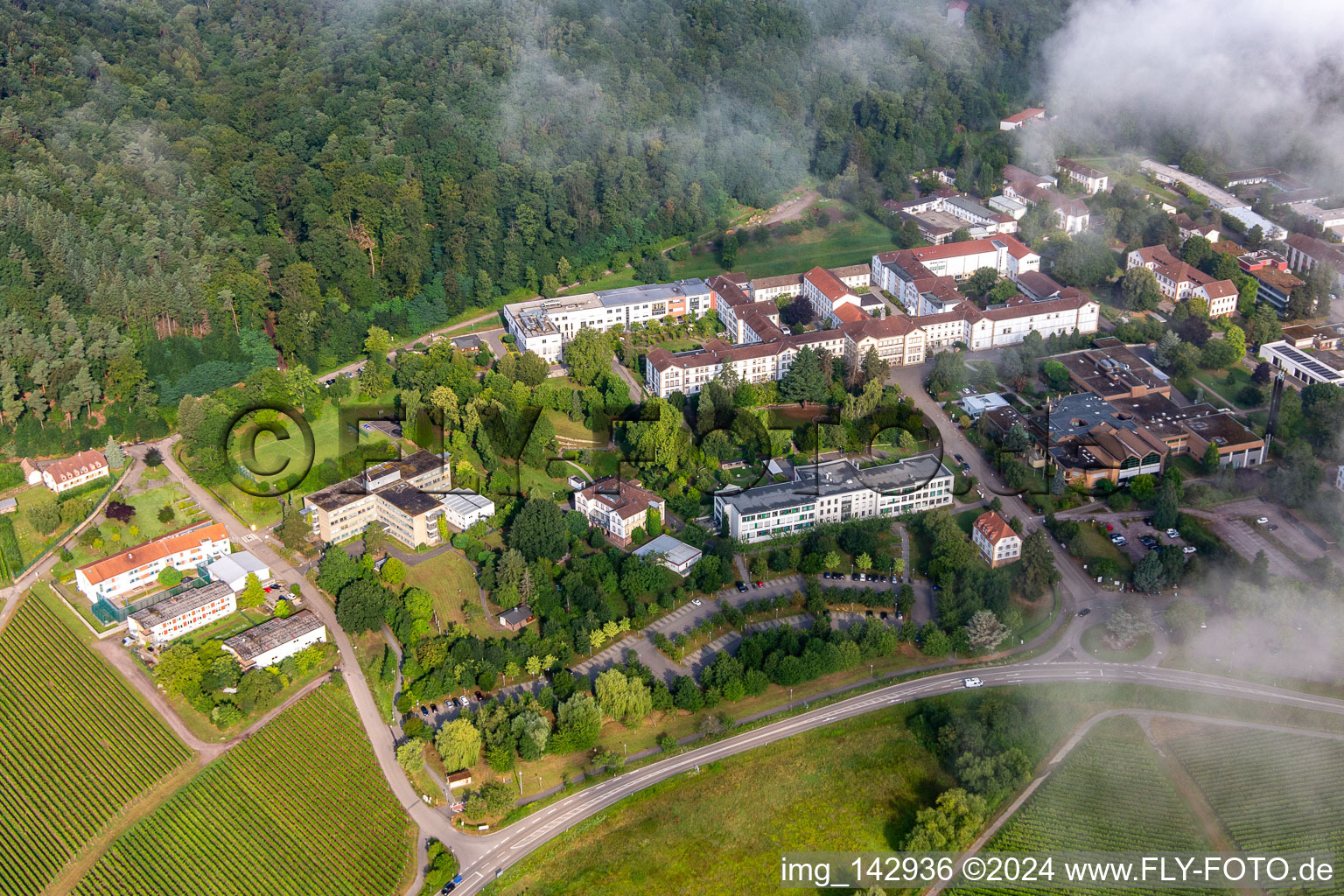 Thick clouds over the Palatinate Hospital for Psychiatry and Neurology in Klingenmünster in the state Rhineland-Palatinate, Germany out of the air