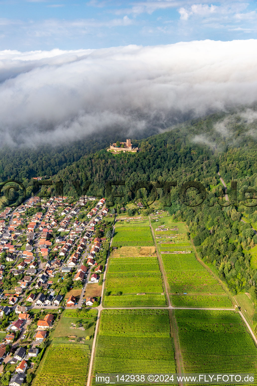 Oblique view of Landeck Castle in the morning under low clouds in Klingenmünster in the state Rhineland-Palatinate, Germany