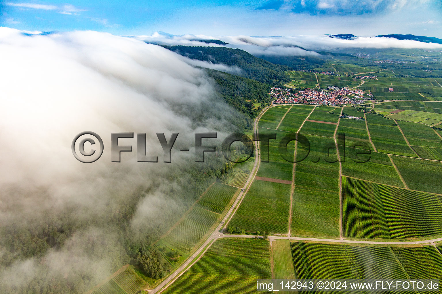 Dense clouds from the west flow over the Haardt edge below the Madenburg in Eschbach in the state Rhineland-Palatinate, Germany