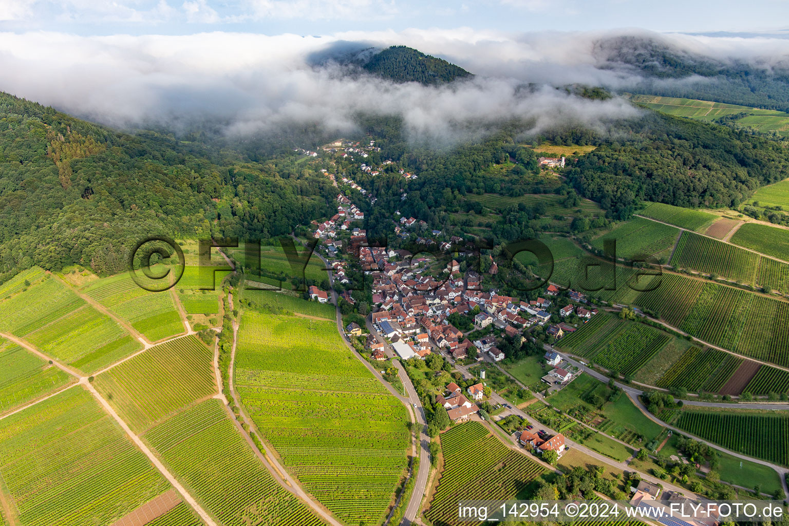 Birnbachtal in the morning from southeast in Leinsweiler in the state Rhineland-Palatinate, Germany