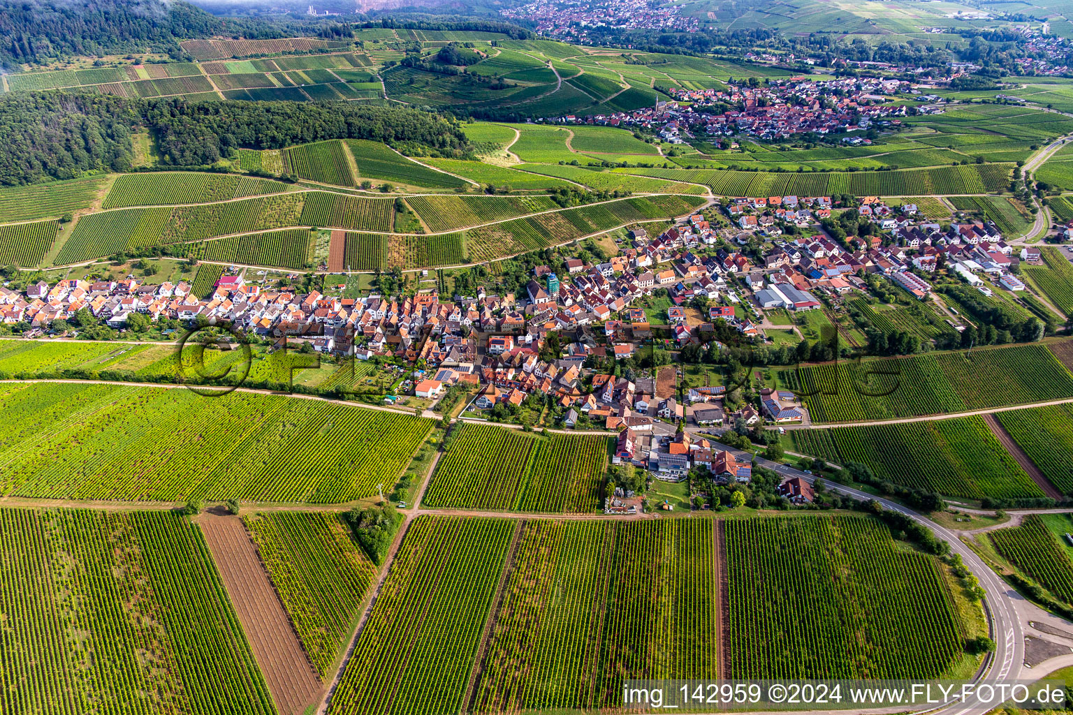 Town from the south in Ranschbach in the state Rhineland-Palatinate, Germany