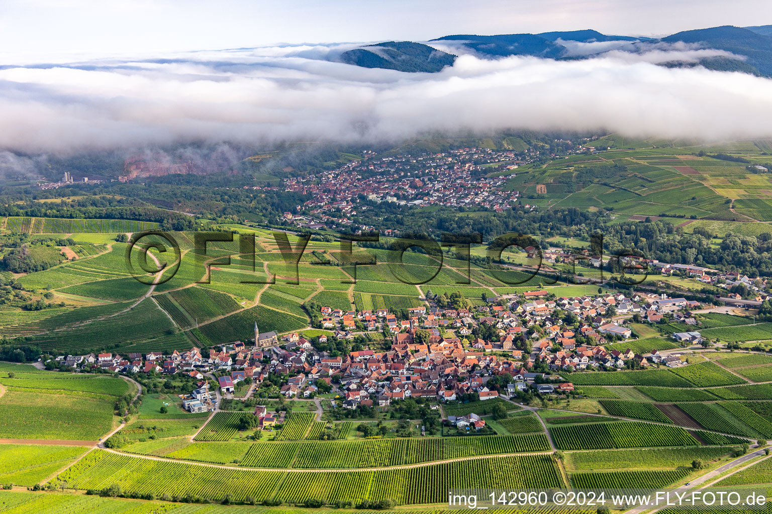 Wine town from the south in Birkweiler in the state Rhineland-Palatinate, Germany