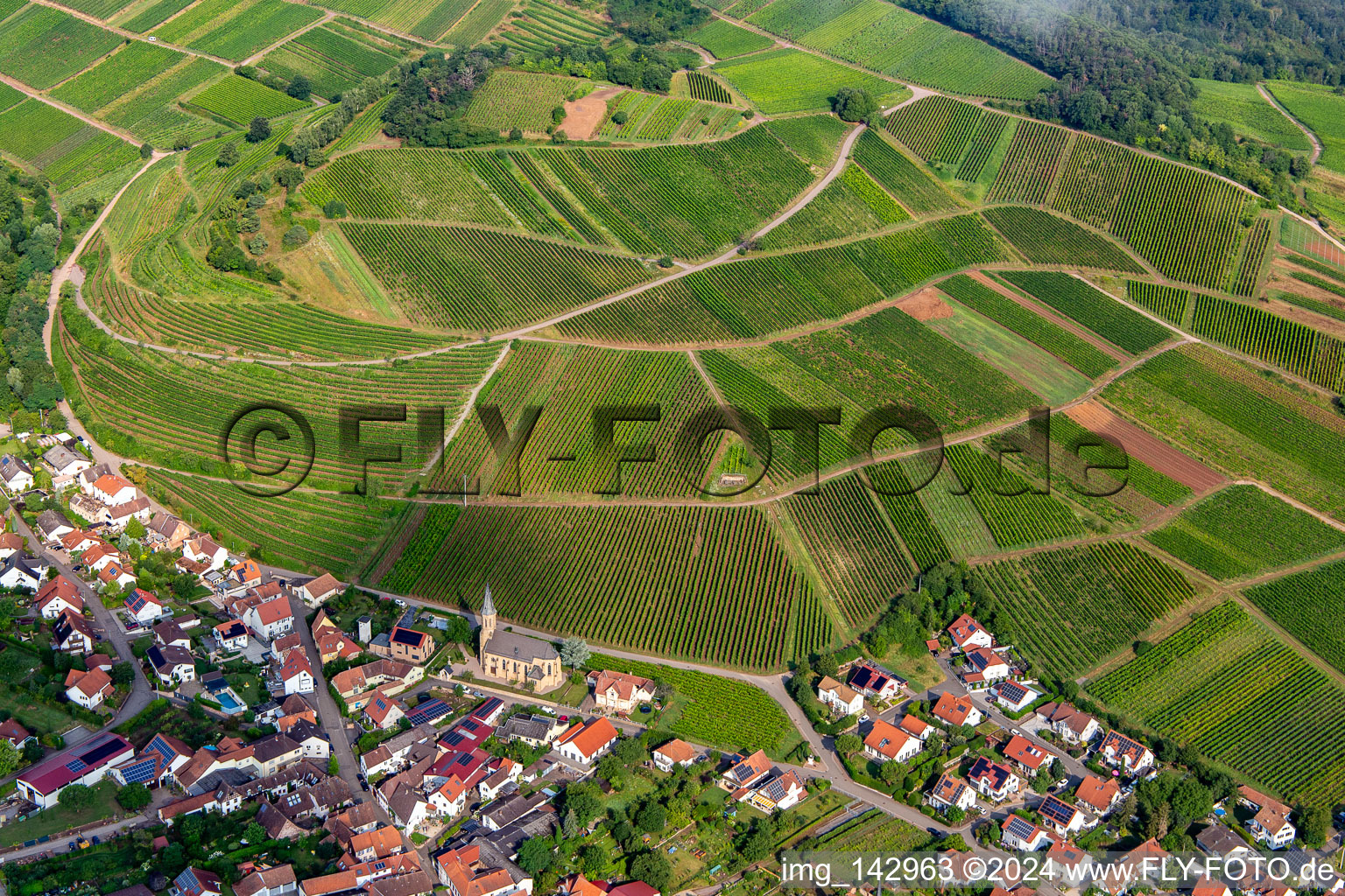 Kastanienbusch vineyard behind the wine village from the southeast in Birkweiler in the state Rhineland-Palatinate, Germany