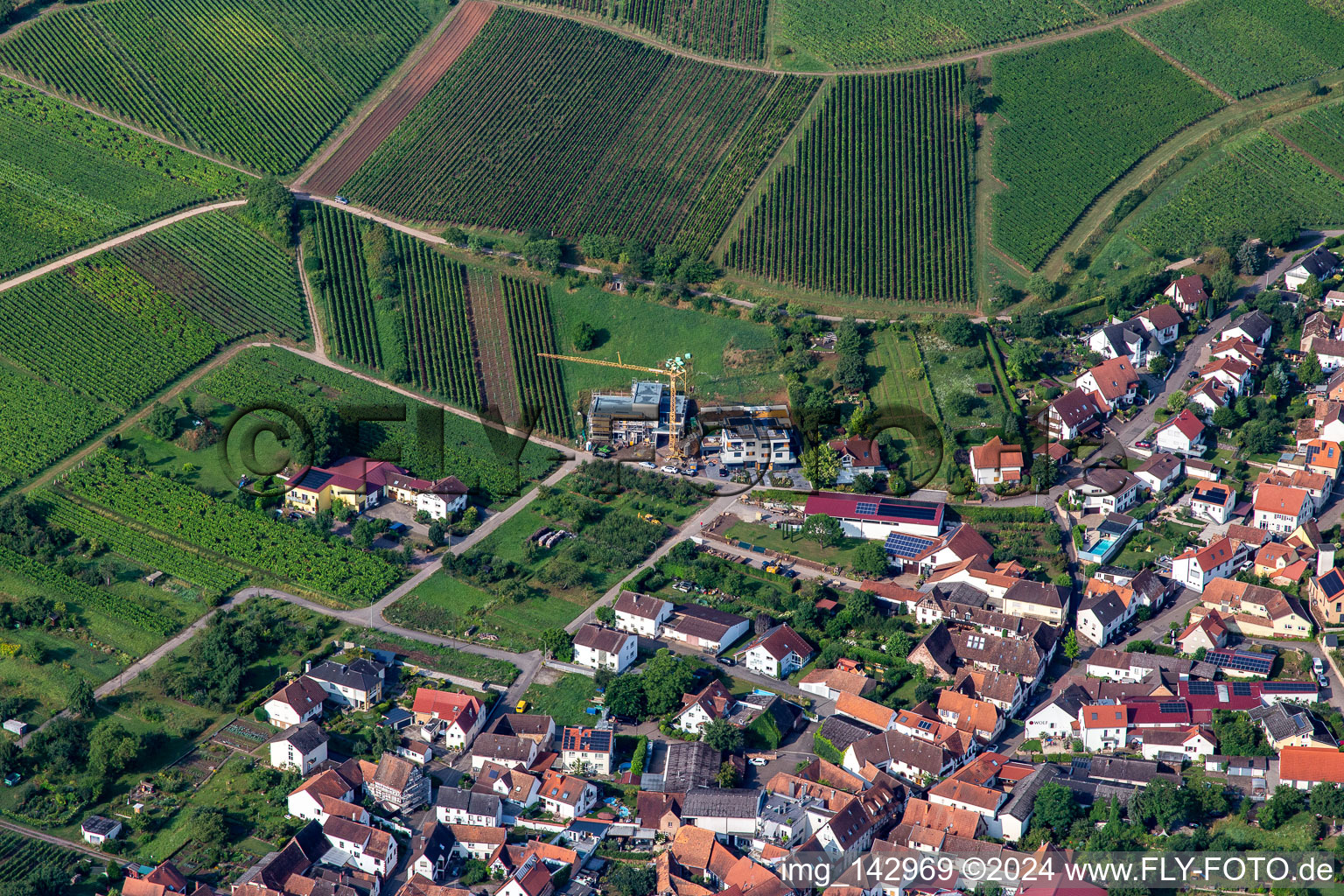 At Gaisberg from the northeast in Birkweiler in the state Rhineland-Palatinate, Germany