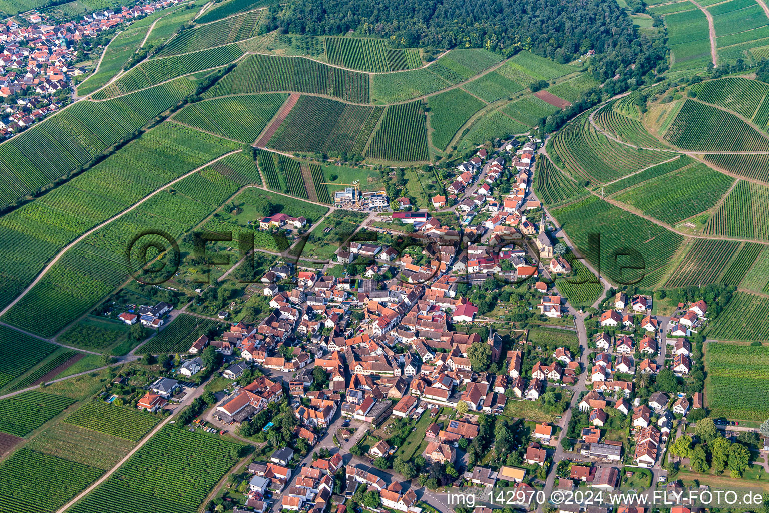 Kastanienbusch vineyard behind the wine village from the east in Birkweiler in the state Rhineland-Palatinate, Germany