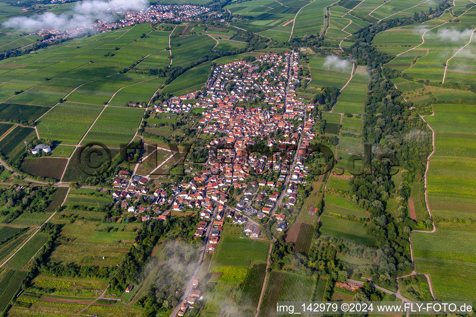 Village from the east in the morning under clouds in the district Arzheim in Landau in der Pfalz in the state Rhineland-Palatinate, Germany