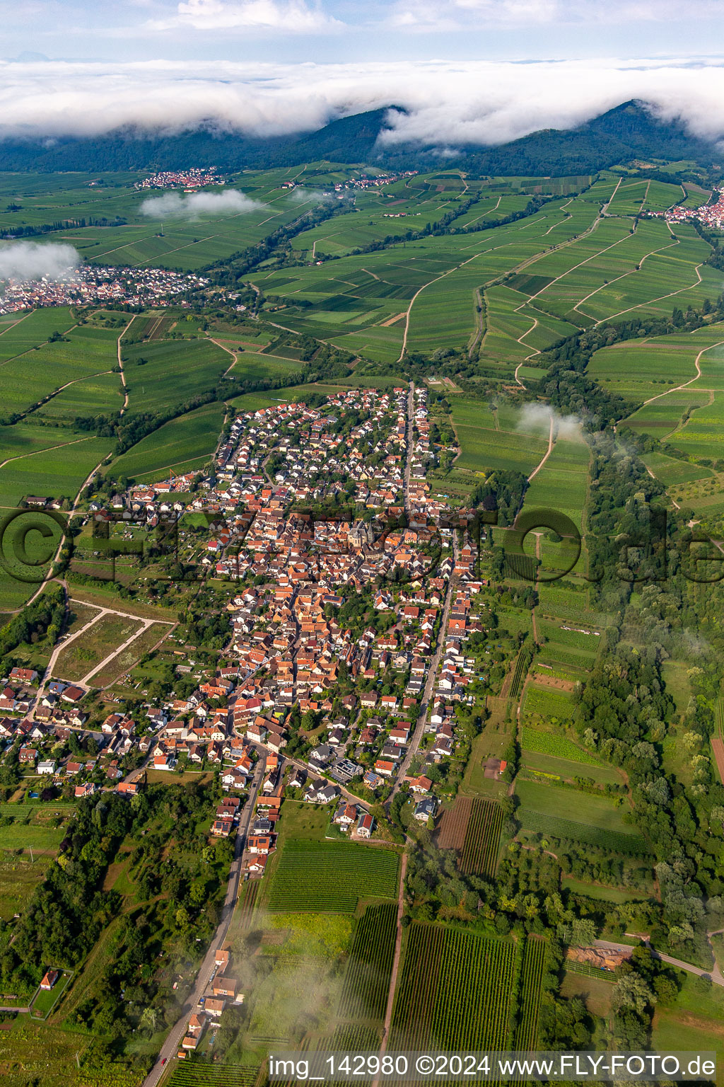 Aerial view of Village from the east in the morning under clouds in the district Arzheim in Landau in der Pfalz in the state Rhineland-Palatinate, Germany