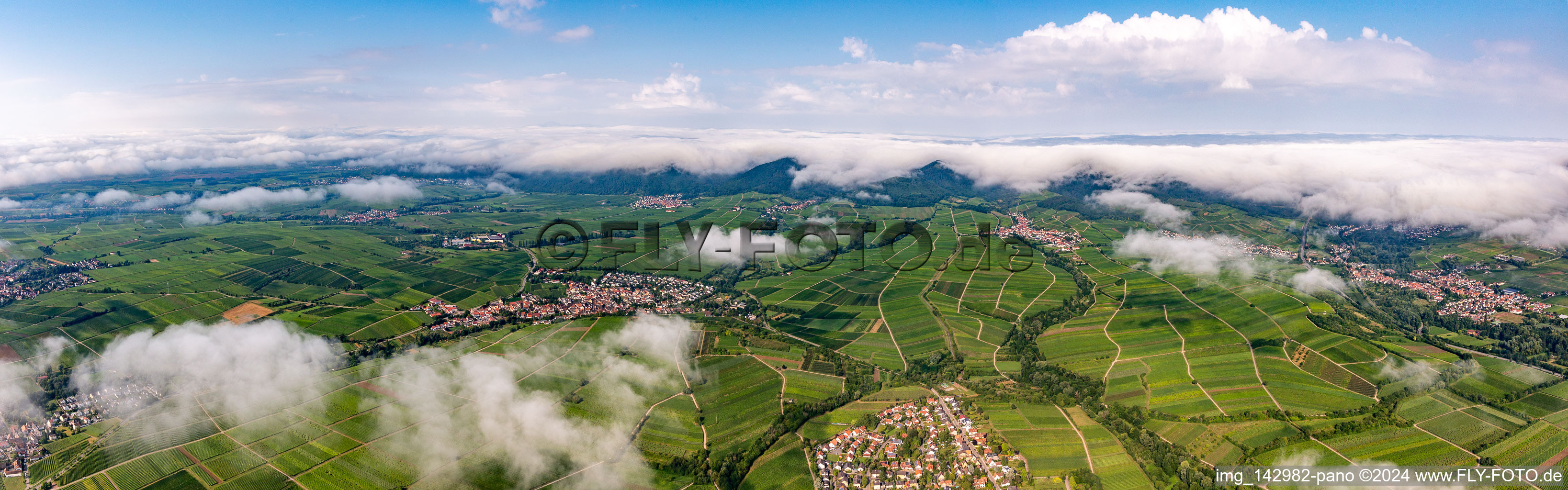 Vineyards from the small Kalmit to the edge of the cloud-covered Palatinate Forest between Siebeldingen, Arzheim, Ilbeshheim and Eschbach in the district Ilbesheim in Ilbesheim bei Landau in der Pfalz in the state Rhineland-Palatinate, Germany