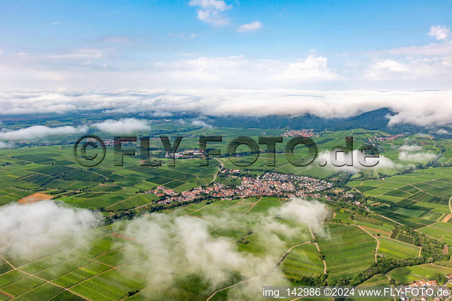 Vineyards of the small Kalmit on the edge of the cloud-covered Palatinate Forest between Arzheim, Ilbeshheim and Eschbach in the district Ilbesheim in Ilbesheim bei Landau in der Pfalz in the state Rhineland-Palatinate, Germany