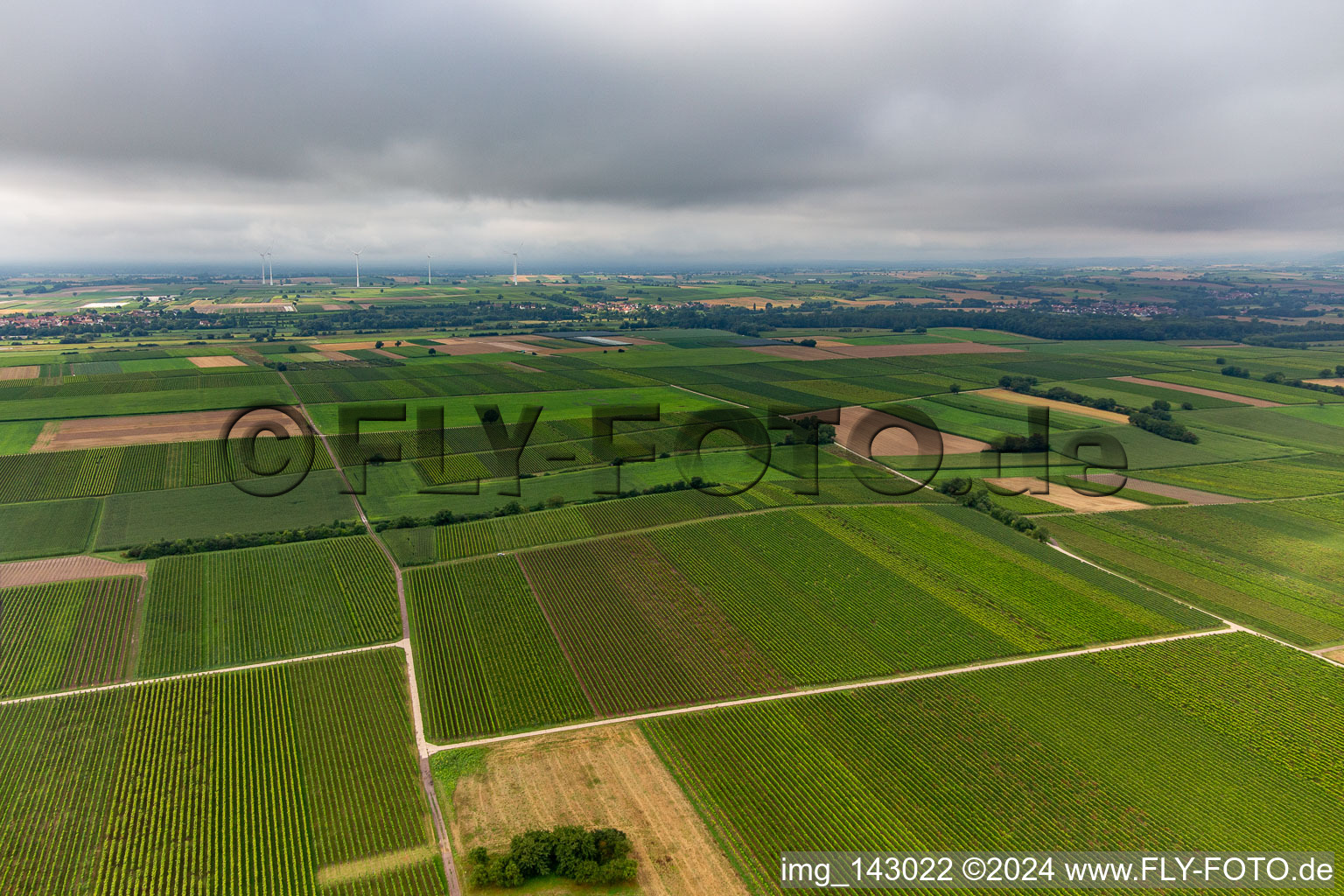 Deep valley under low cloud cover in the district Mühlhofen in Billigheim-Ingenheim in the state Rhineland-Palatinate, Germany