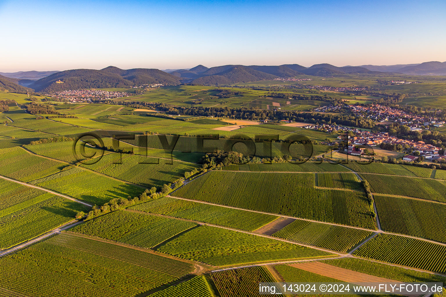 Vineyards everywhere in the Klingbachtal between Klingenmünster and Klingen in the district Klingen in Heuchelheim-Klingen in the state Rhineland-Palatinate, Germany