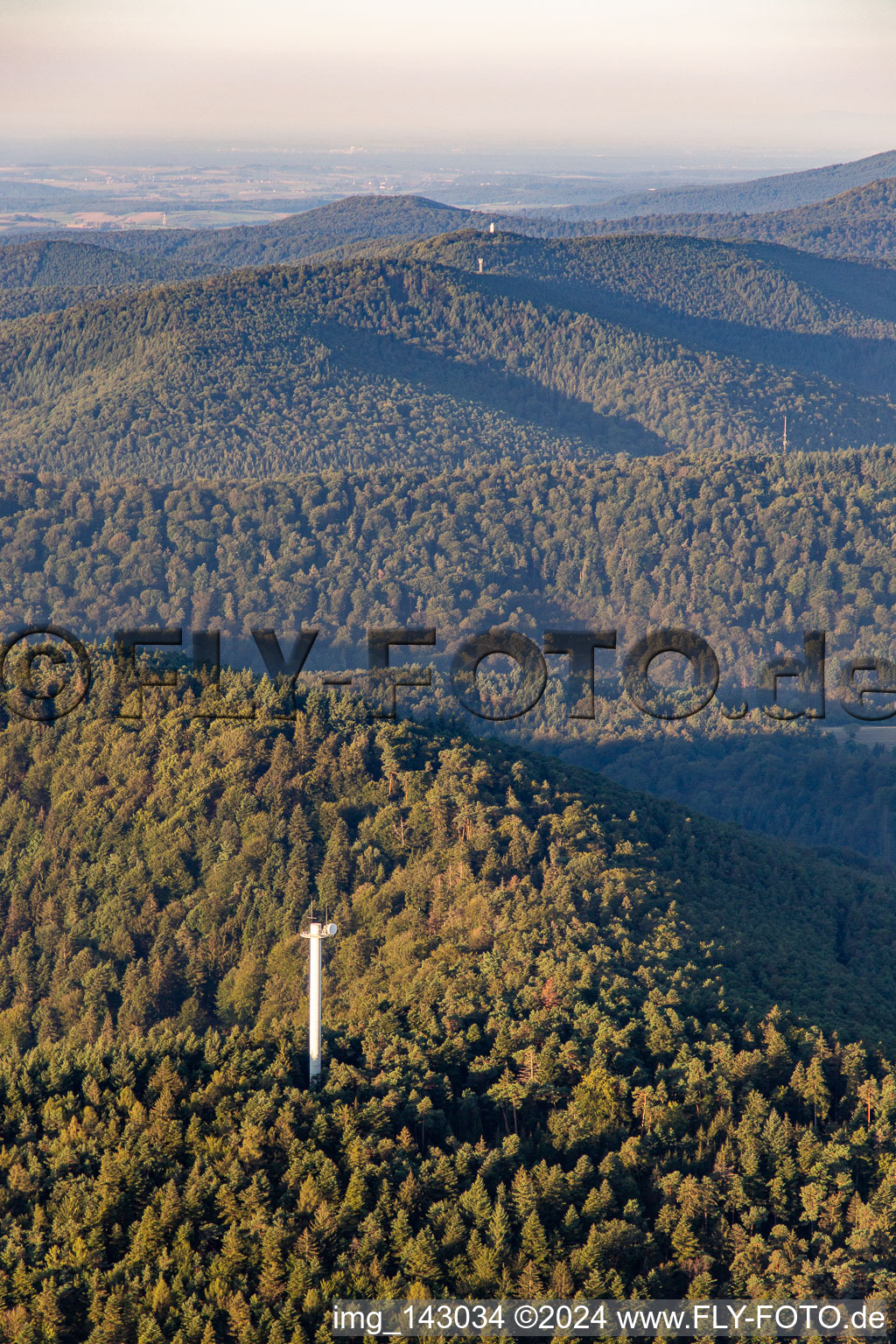 Stäffelberg Tower from the north in Dörrenbach in the state Rhineland-Palatinate, Germany