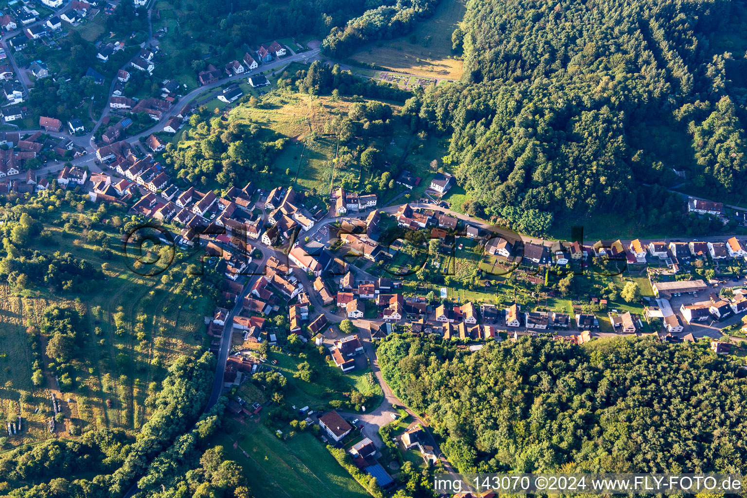 Schwanheim in the state Rhineland-Palatinate, Germany from a drone