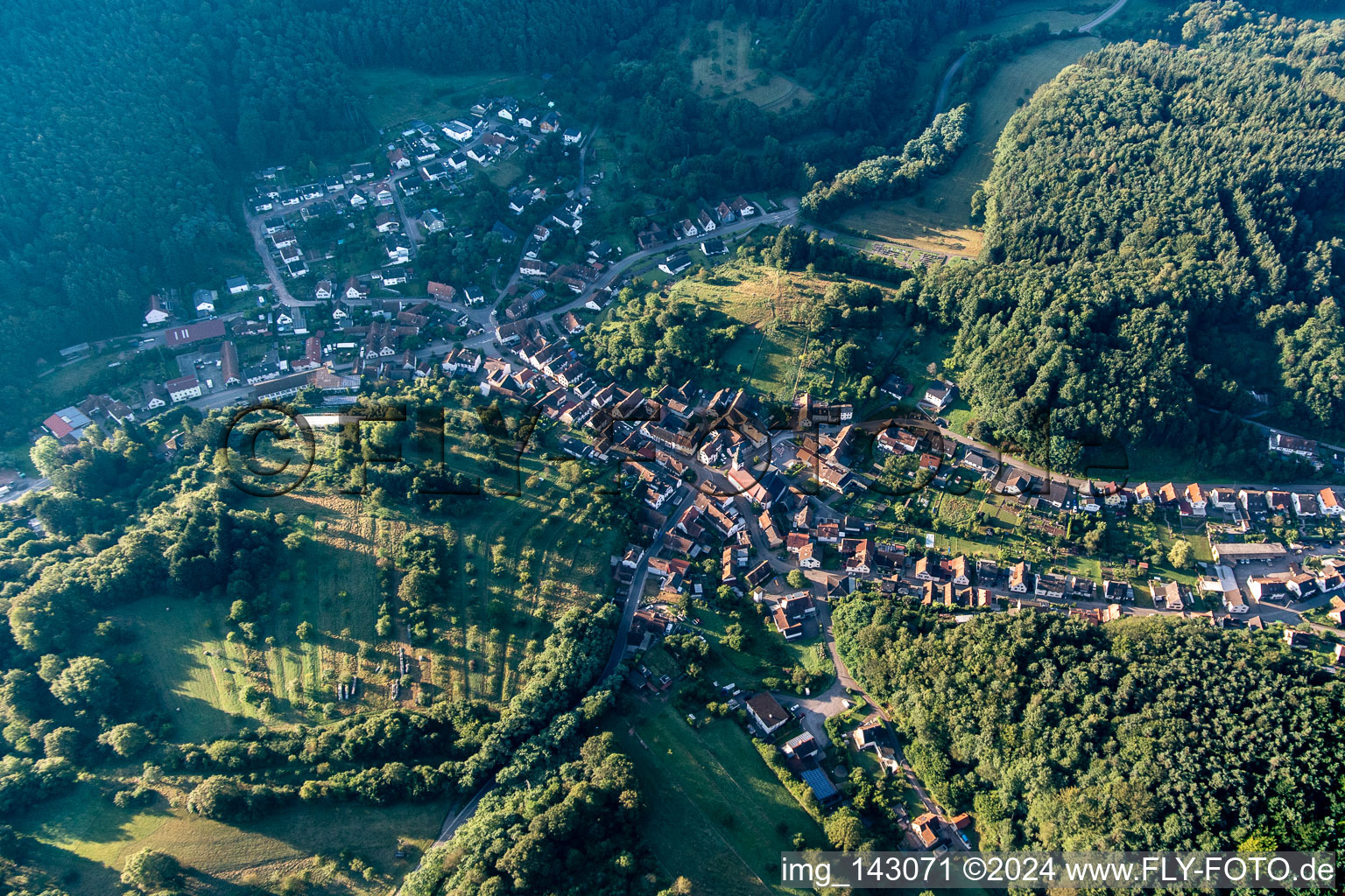 Schwanheim in the state Rhineland-Palatinate, Germany seen from a drone