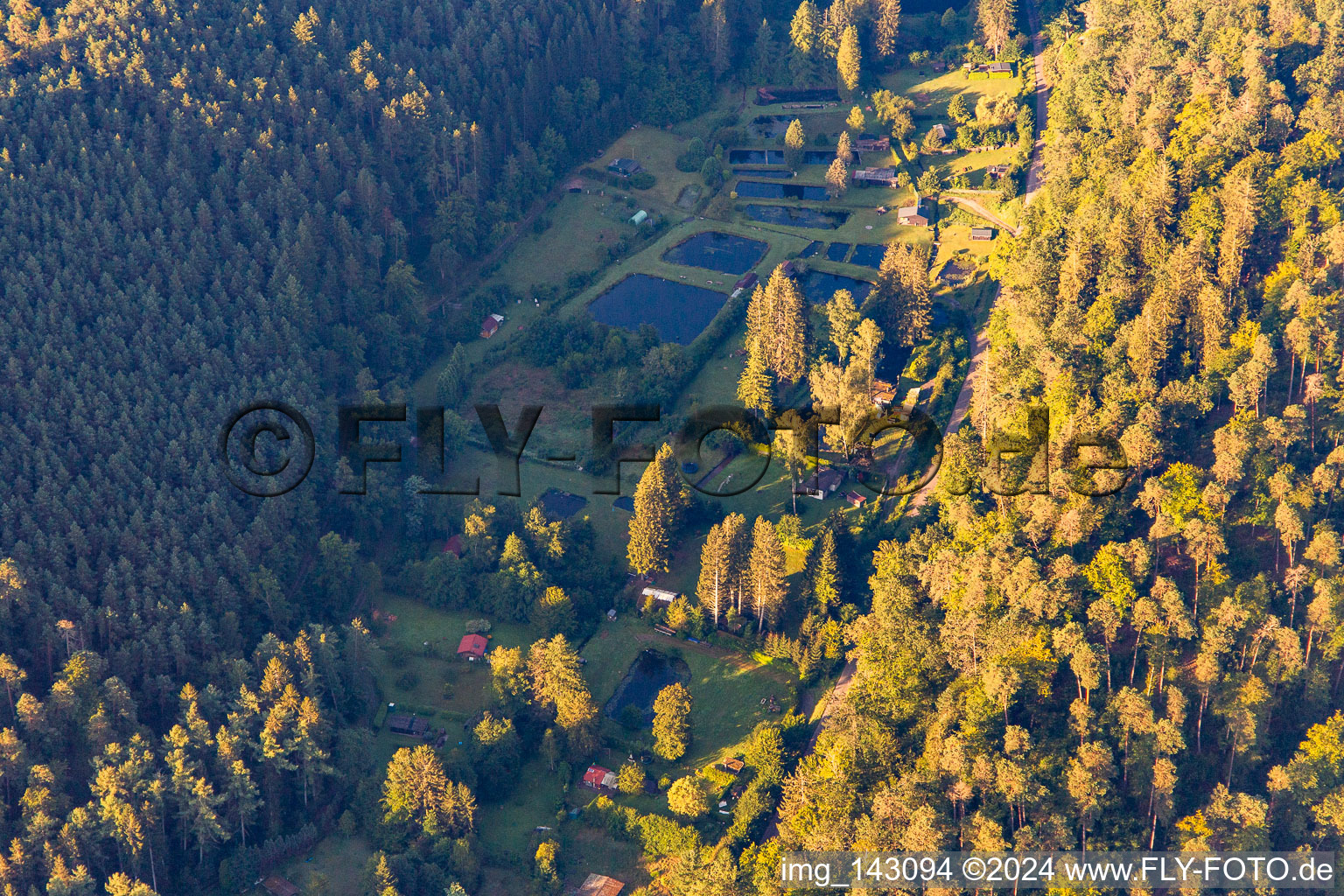 Ponds for fish farming in the Storrbach in the district Langmühle in Lemberg in the state Rhineland-Palatinate, Germany