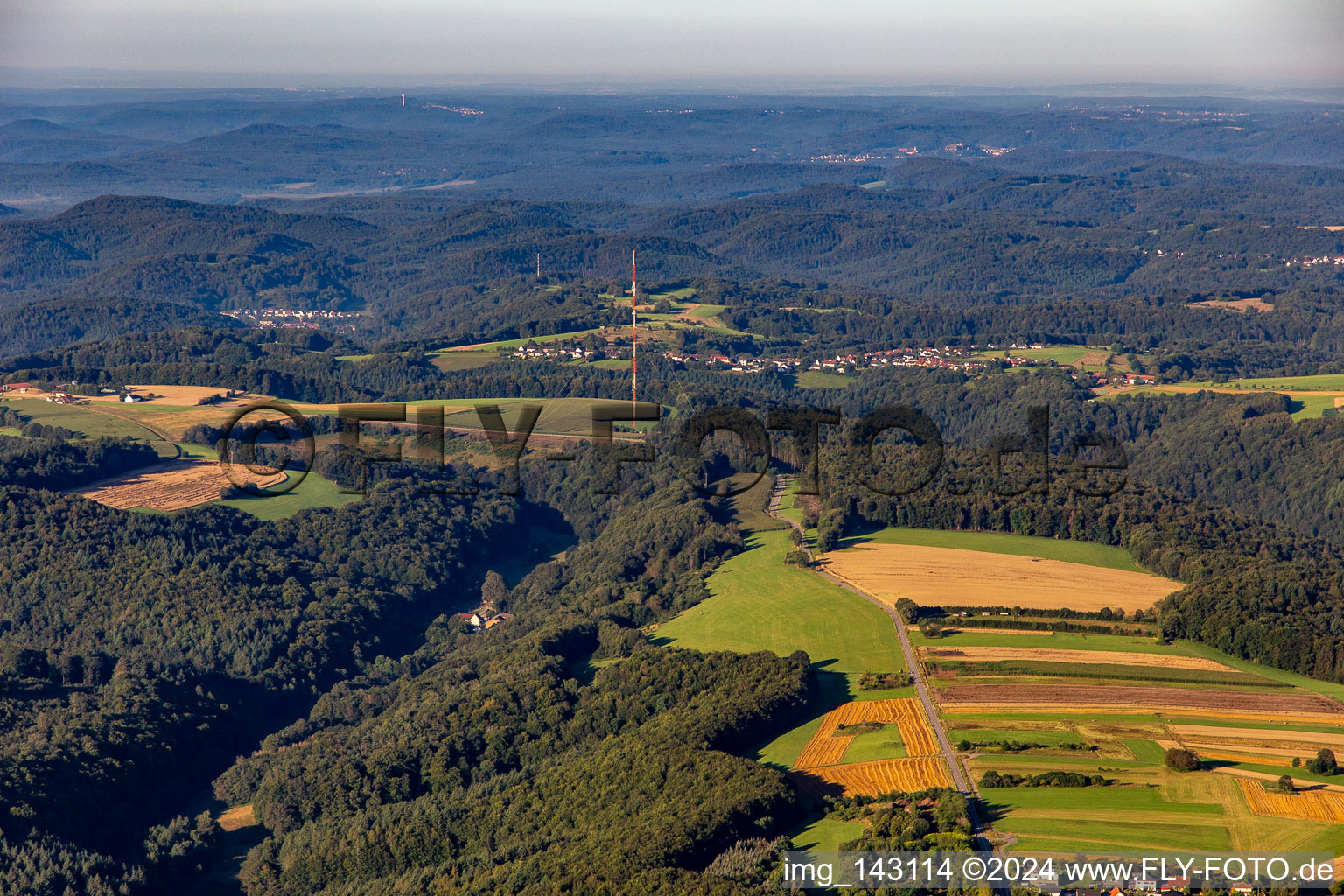 Mast of transmitter Kettrichhof in the district Kettrichhof in Lemberg in the state Rhineland-Palatinate, Germany