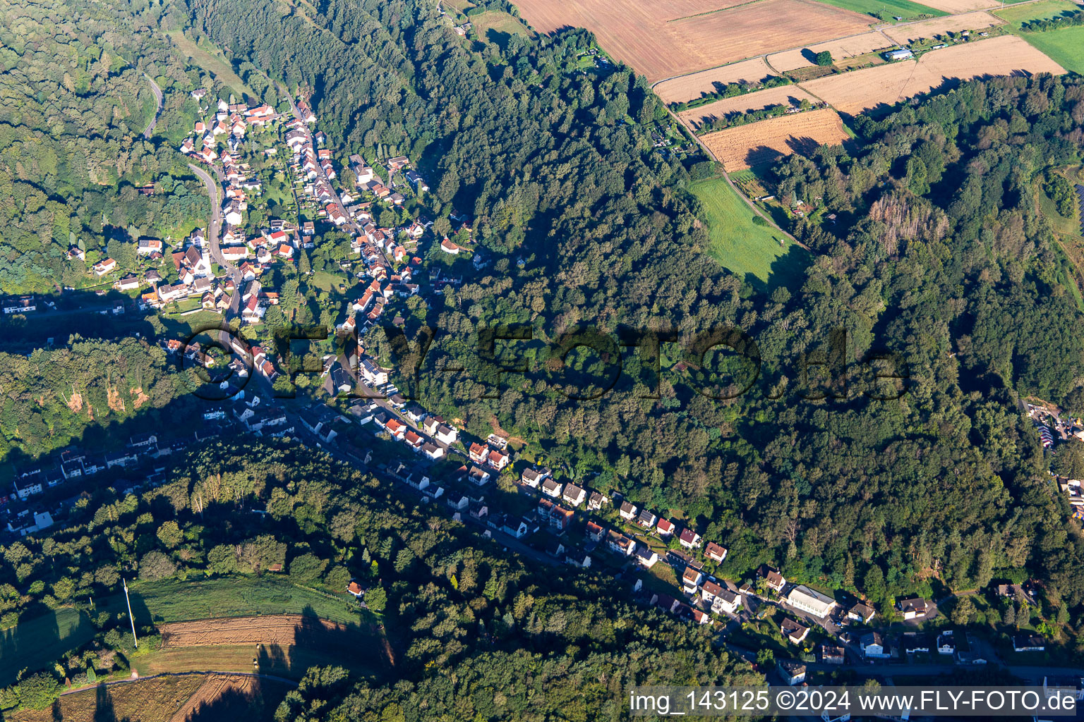 From the east in the district Niedersimten in Pirmasens in the state Rhineland-Palatinate, Germany