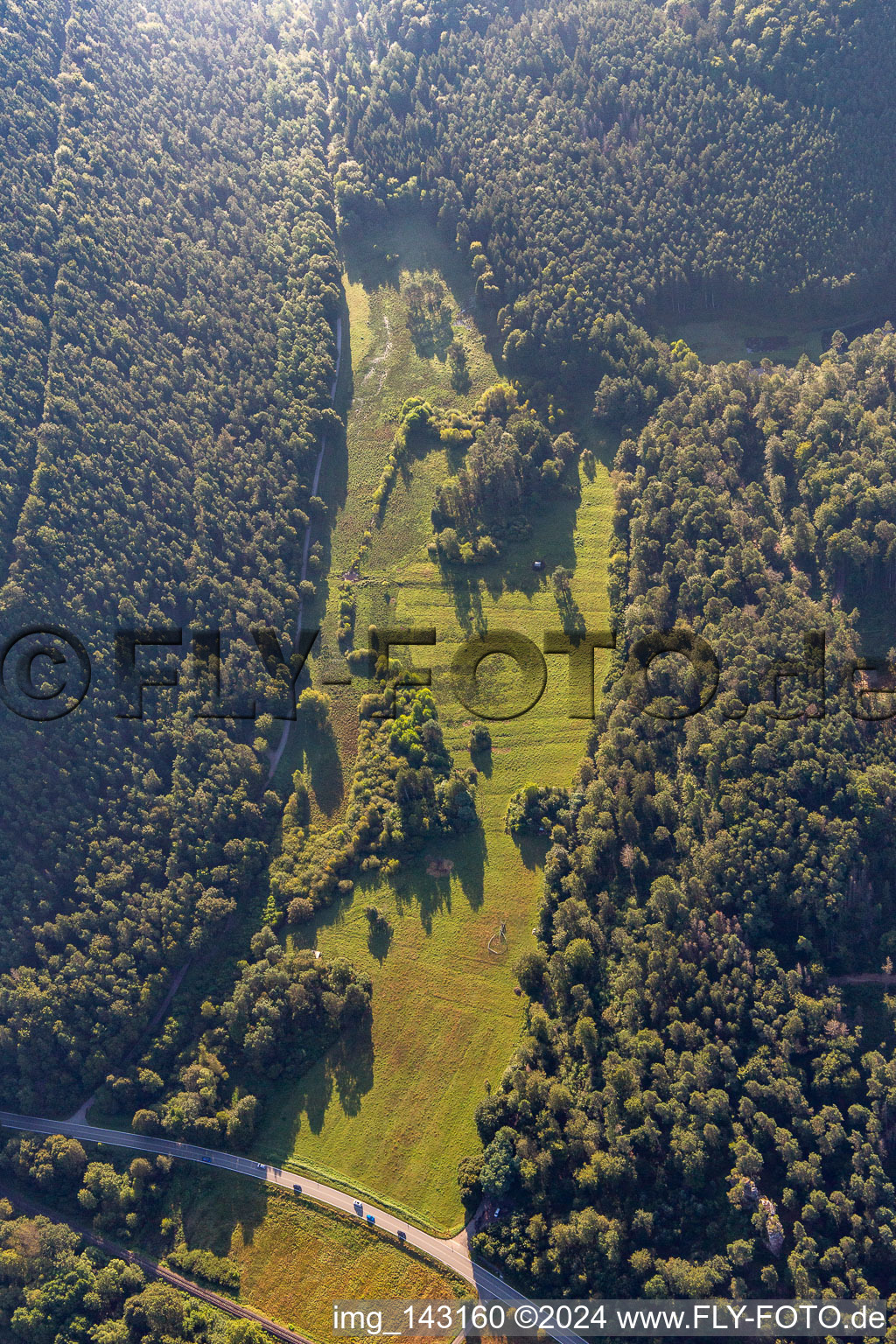 Clearing in the Seebachtal in Hinterweidenthal in the state Rhineland-Palatinate, Germany