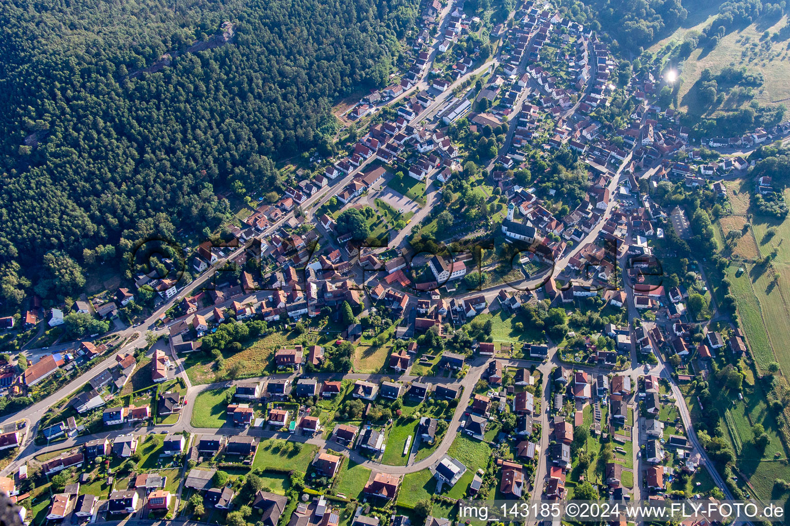 Busenberg in the state Rhineland-Palatinate, Germany seen from a drone