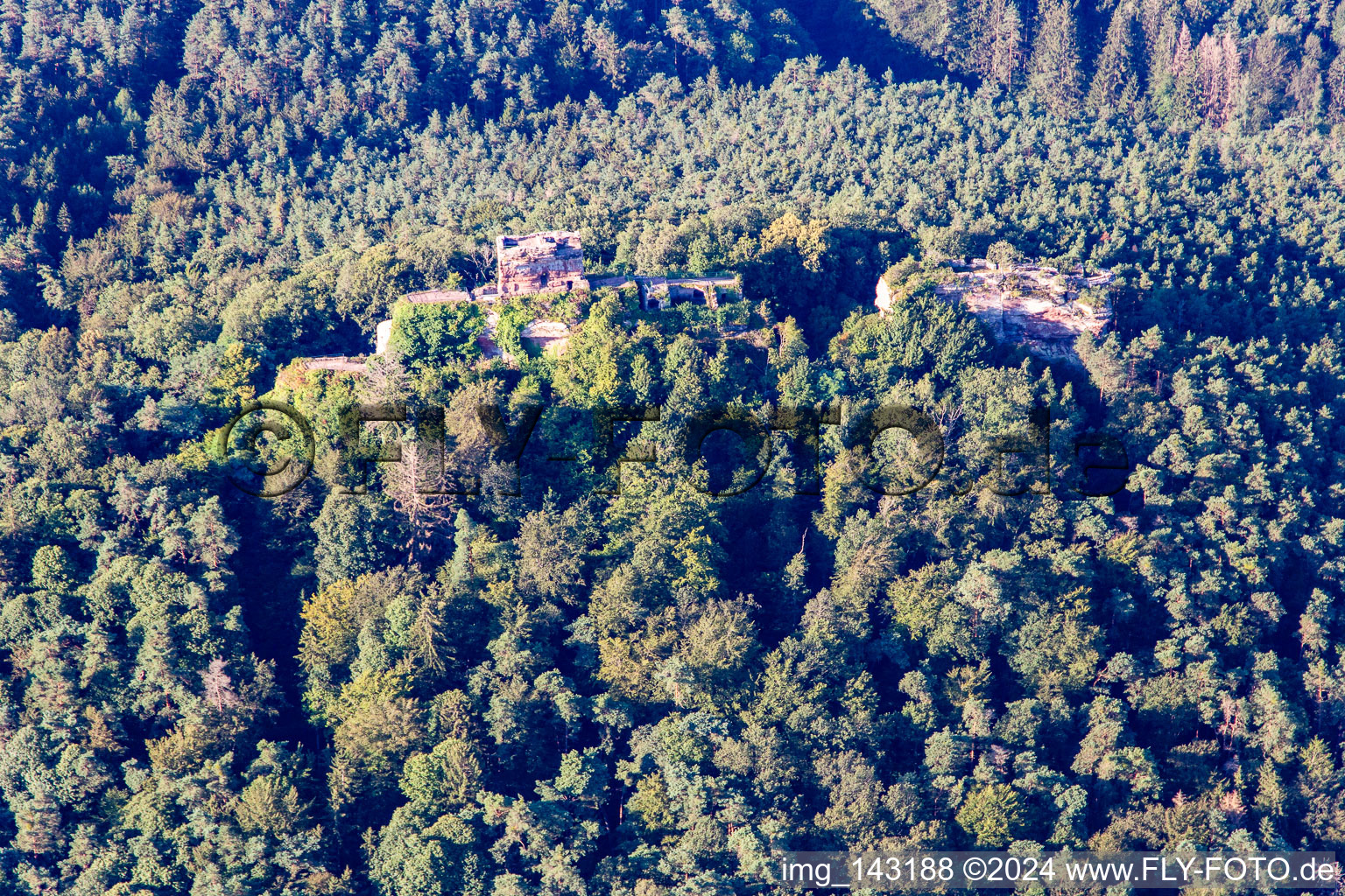 Aerial view of Ruins of Drachenfels Castle in Busenberg in the state Rhineland-Palatinate, Germany