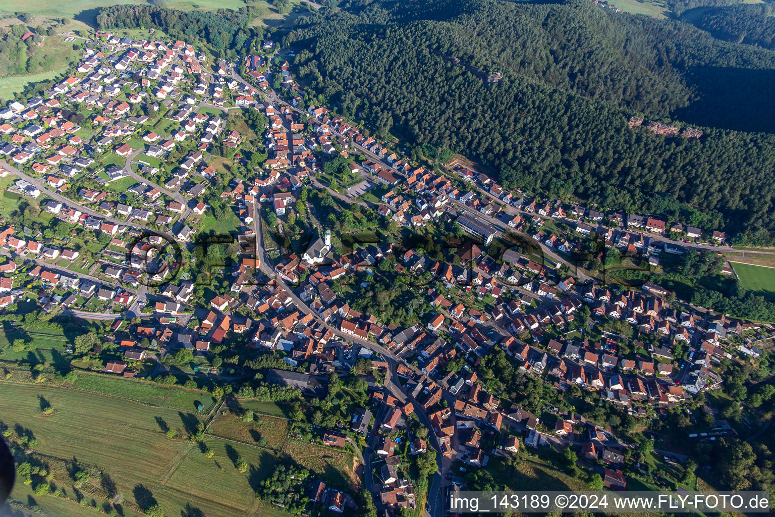 From the southeast in Busenberg in the state Rhineland-Palatinate, Germany