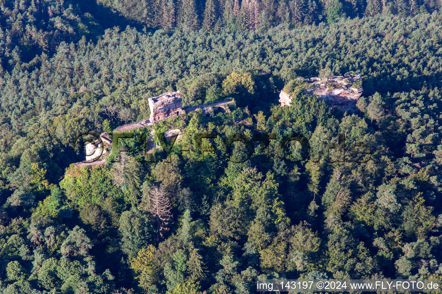 Ruins of Drachenfels Castle in Busenberg in the state Rhineland-Palatinate, Germany from above