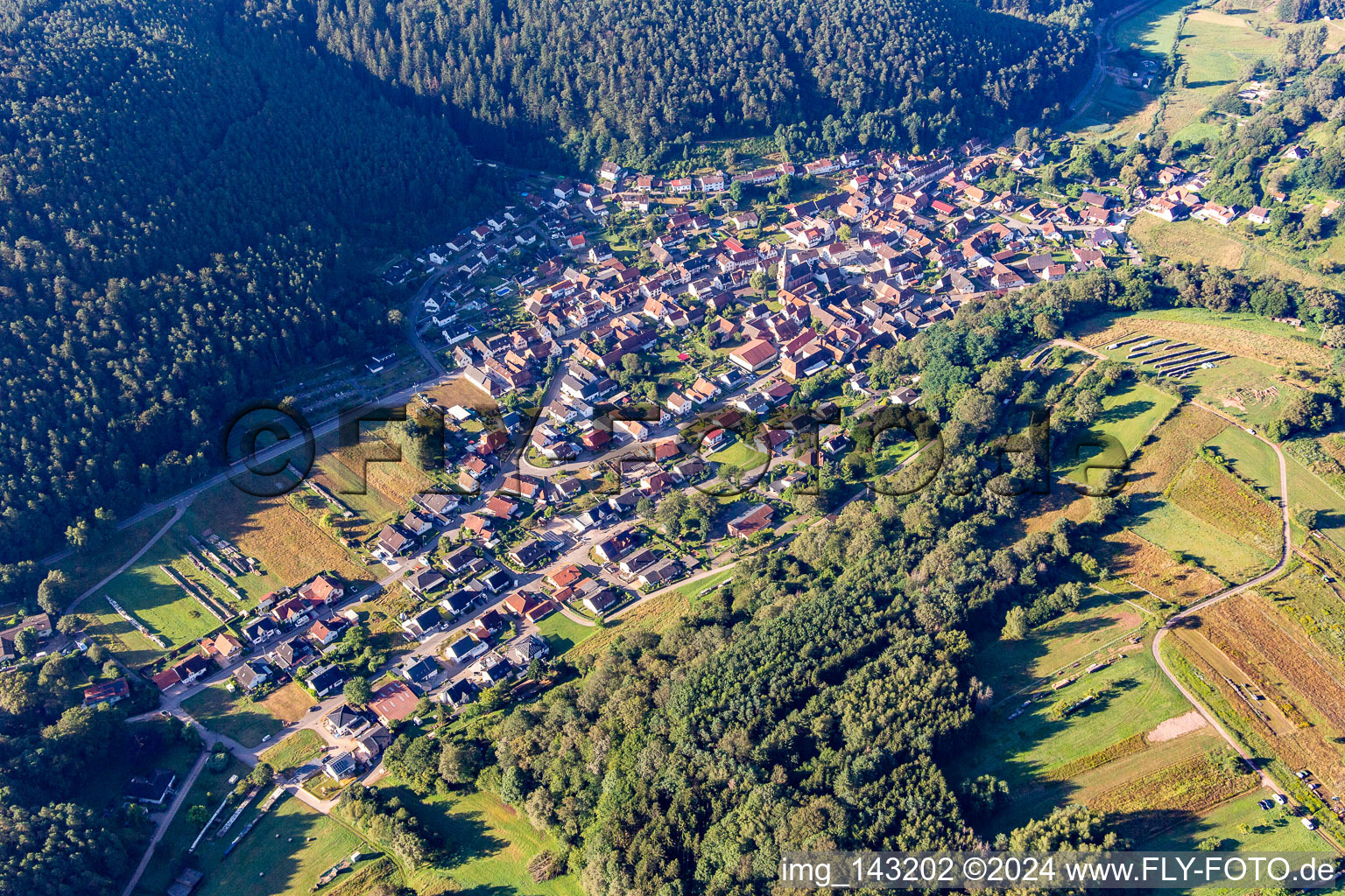 Vorderweidenthal in the state Rhineland-Palatinate, Germany from above