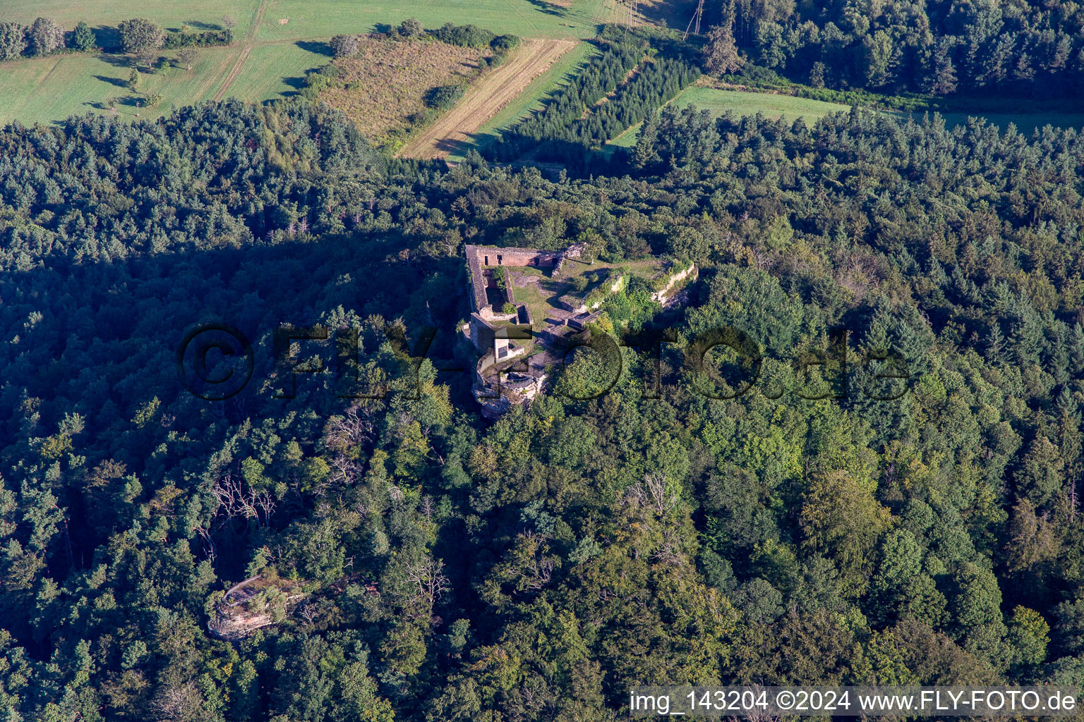 Lindelbrunn Castle Ruins in Vorderweidenthal in the state Rhineland-Palatinate, Germany seen from above