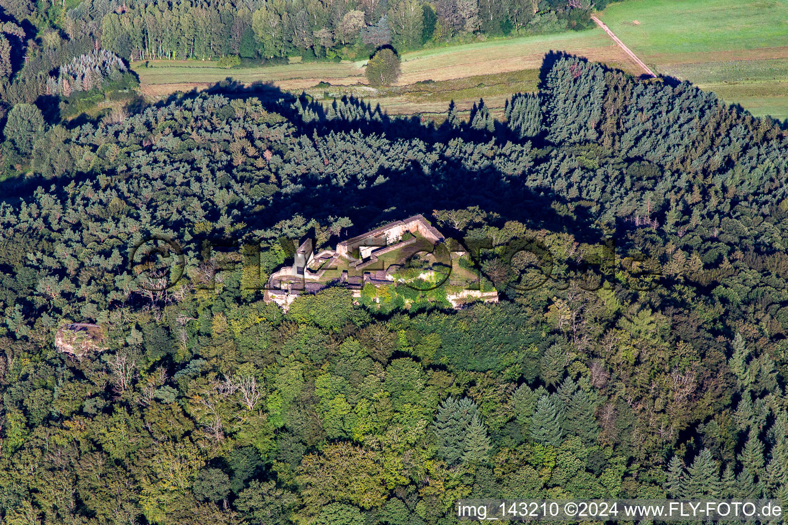 Lindelbrunn Castle Ruins in the district Gossersweiler in Gossersweiler-Stein in the state Rhineland-Palatinate, Germany