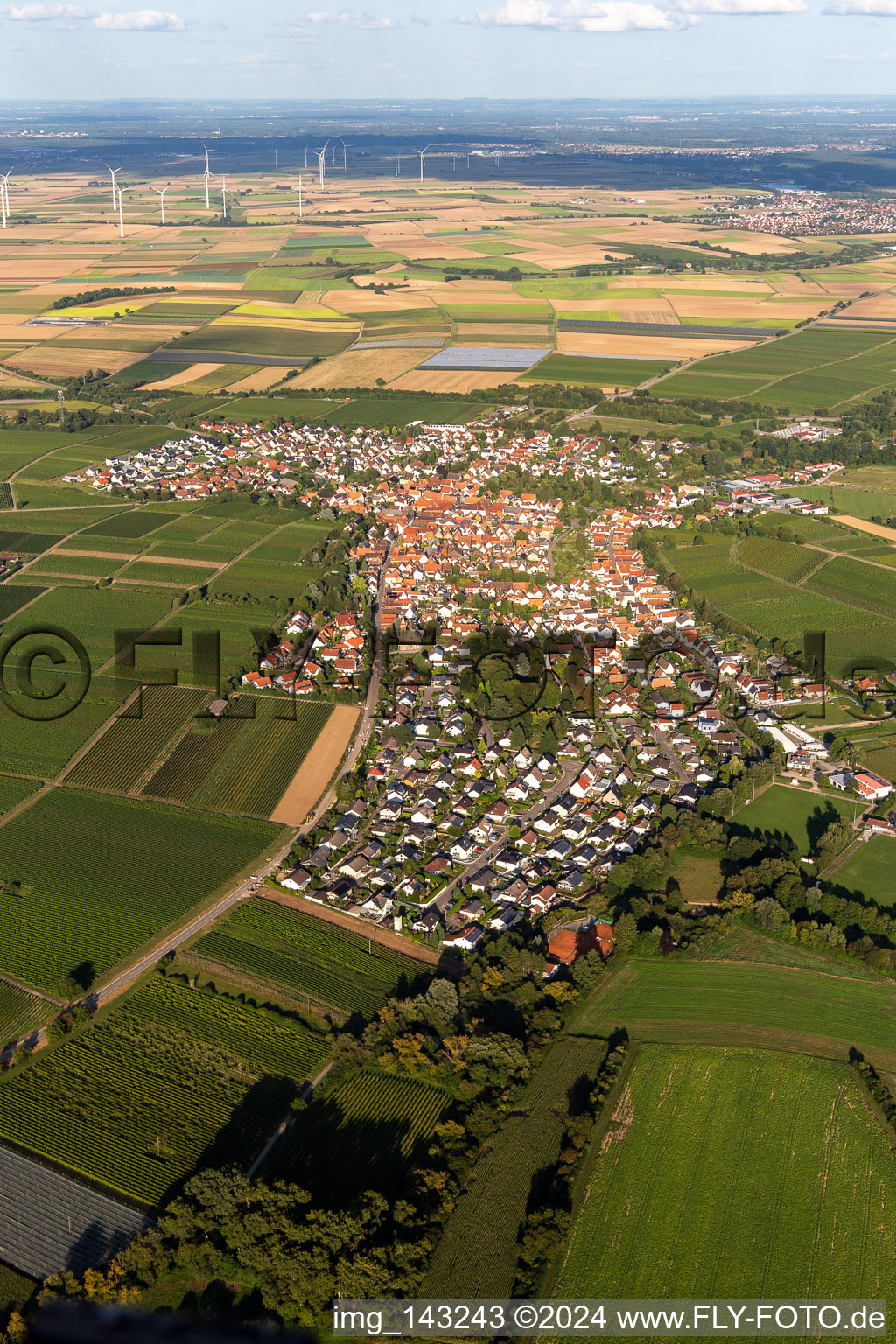 Town from the west in Insheim in the state Rhineland-Palatinate, Germany