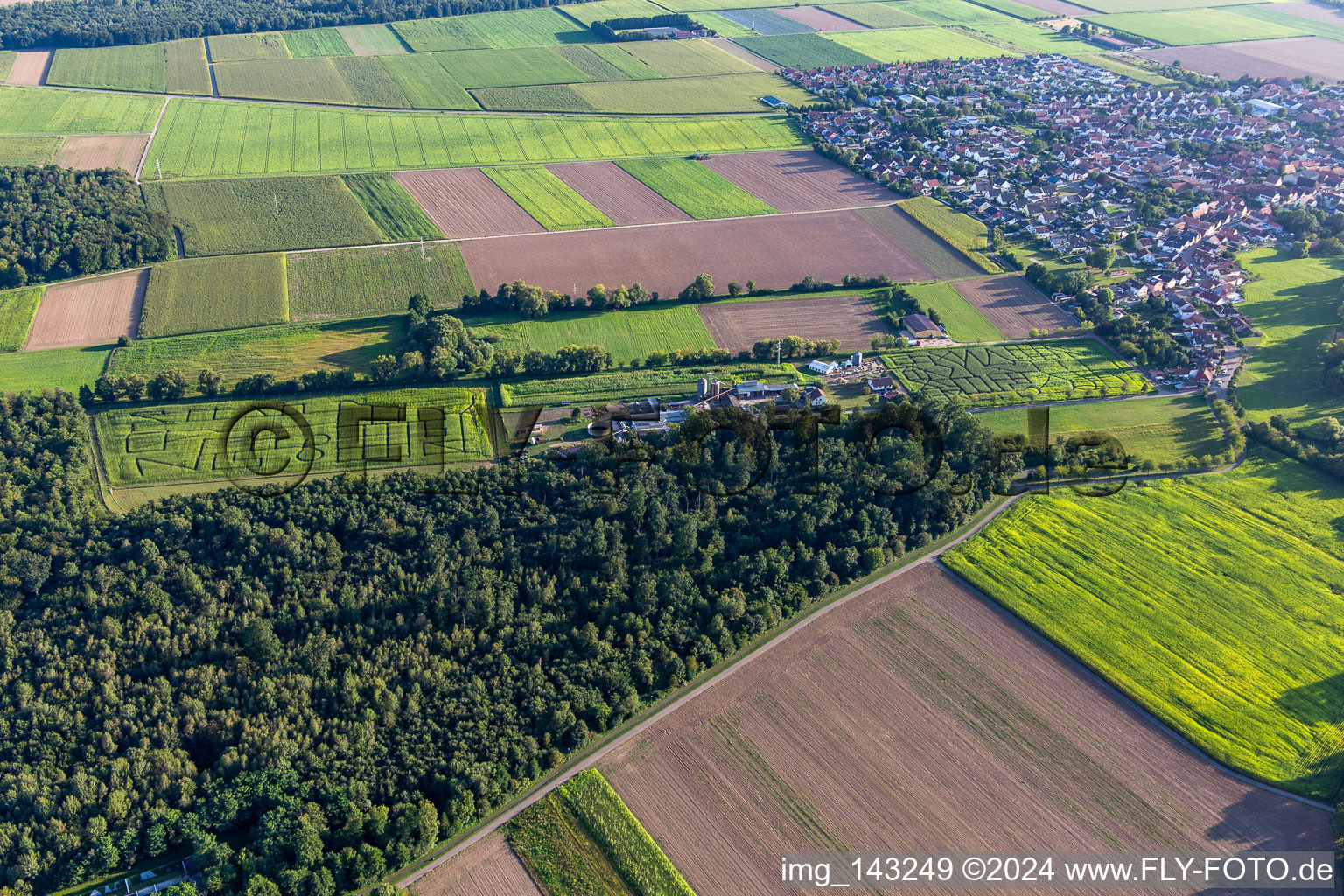 Corn maze, wedding location and beach lounge Seehof in Steinweiler in the state Rhineland-Palatinate, Germany seen from a drone