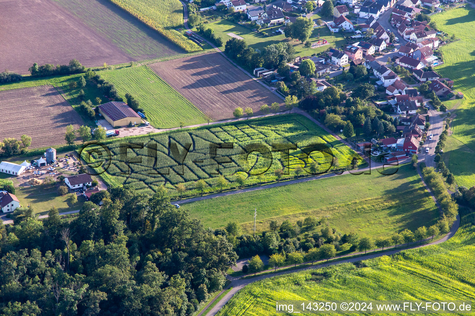 Aerial view of Corn maze, wedding location and beach lounge Seehof in Steinweiler in the state Rhineland-Palatinate, Germany