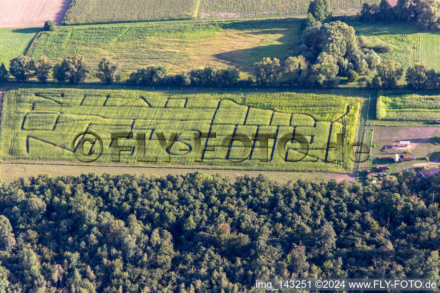 Aerial photograpy of Corn maze, wedding location and beach lounge Seehof in Steinweiler in the state Rhineland-Palatinate, Germany