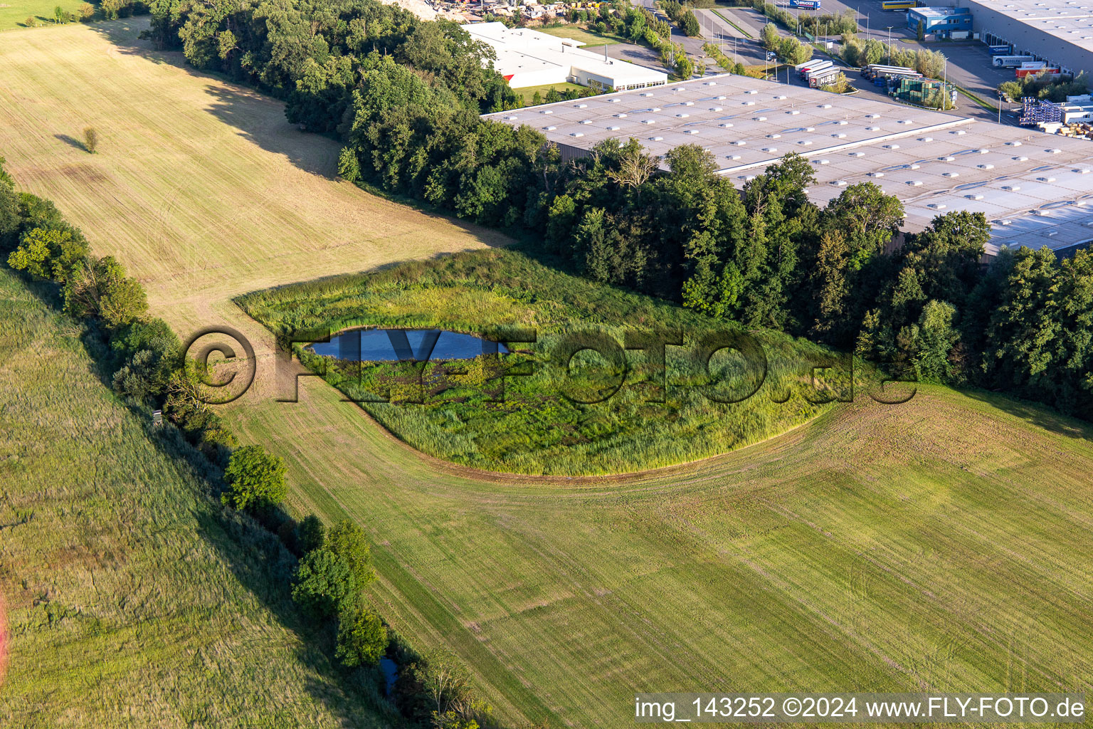 Aerial photograpy of Biotope between Flutgraben and Erlenbach in Steinweiler in the state Rhineland-Palatinate, Germany