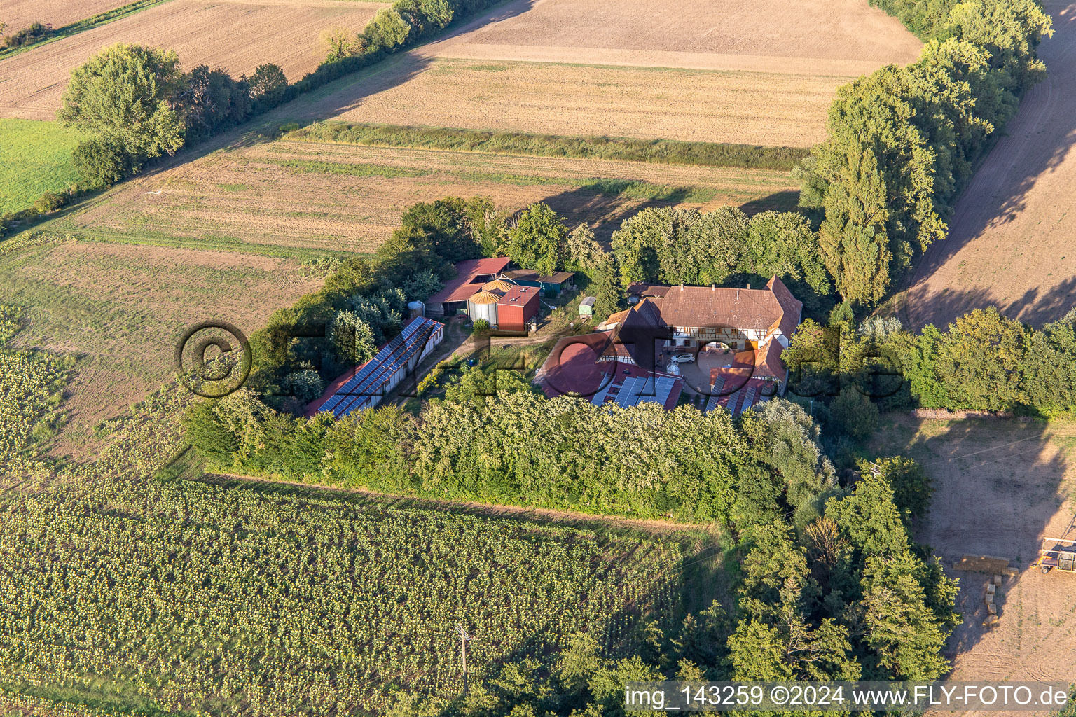 Aerial view of Leistenmühle on the Erlenbach in Kandel in the state Rhineland-Palatinate, Germany