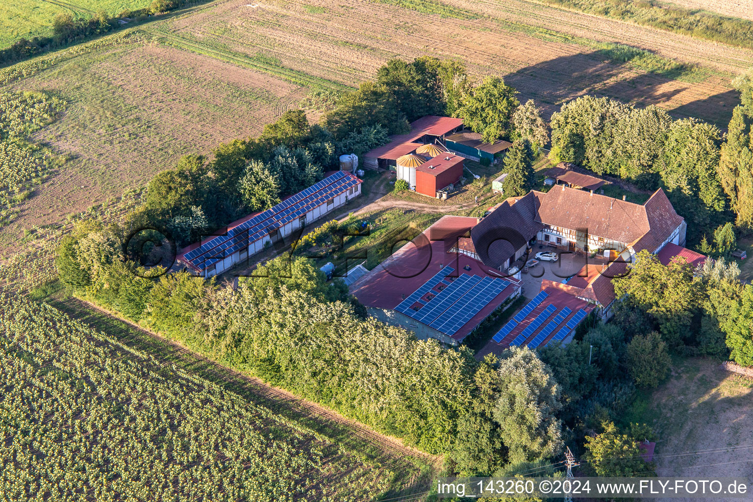 Aerial photograpy of Leistenmühle on the Erlenbach in Kandel in the state Rhineland-Palatinate, Germany