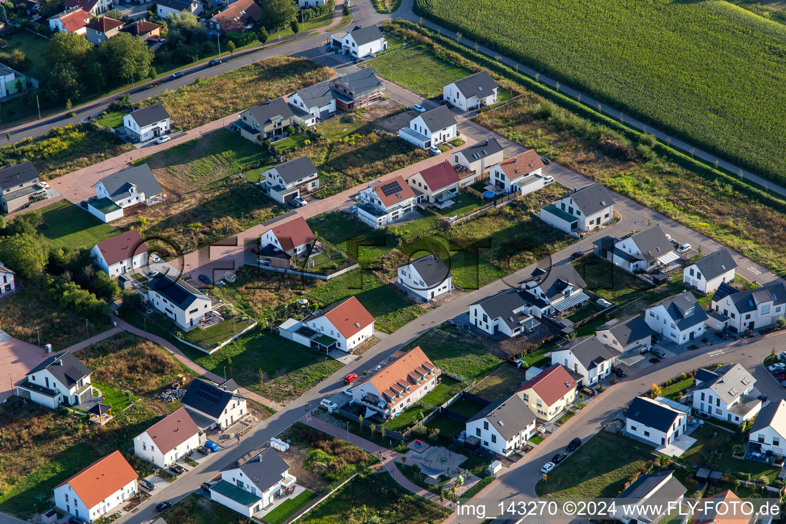 Aerial view of Sunflower Path in Kandel in the state Rhineland-Palatinate, Germany