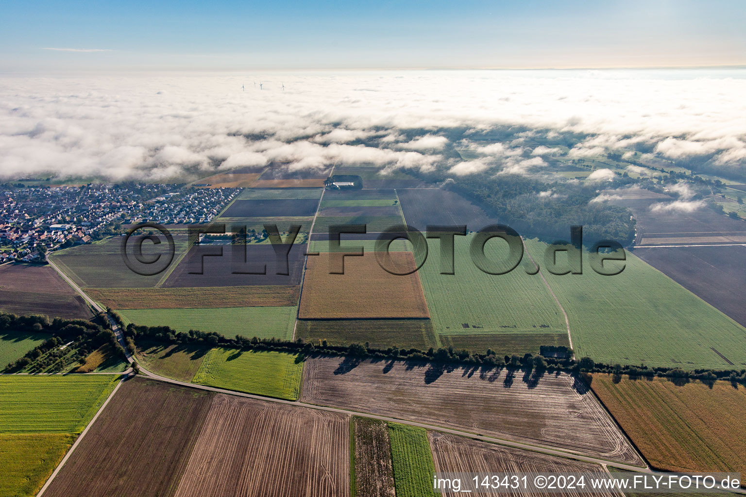 Pathway between winds and Steinweiler at the cloud edge in Steinweiler in the state Rhineland-Palatinate, Germany