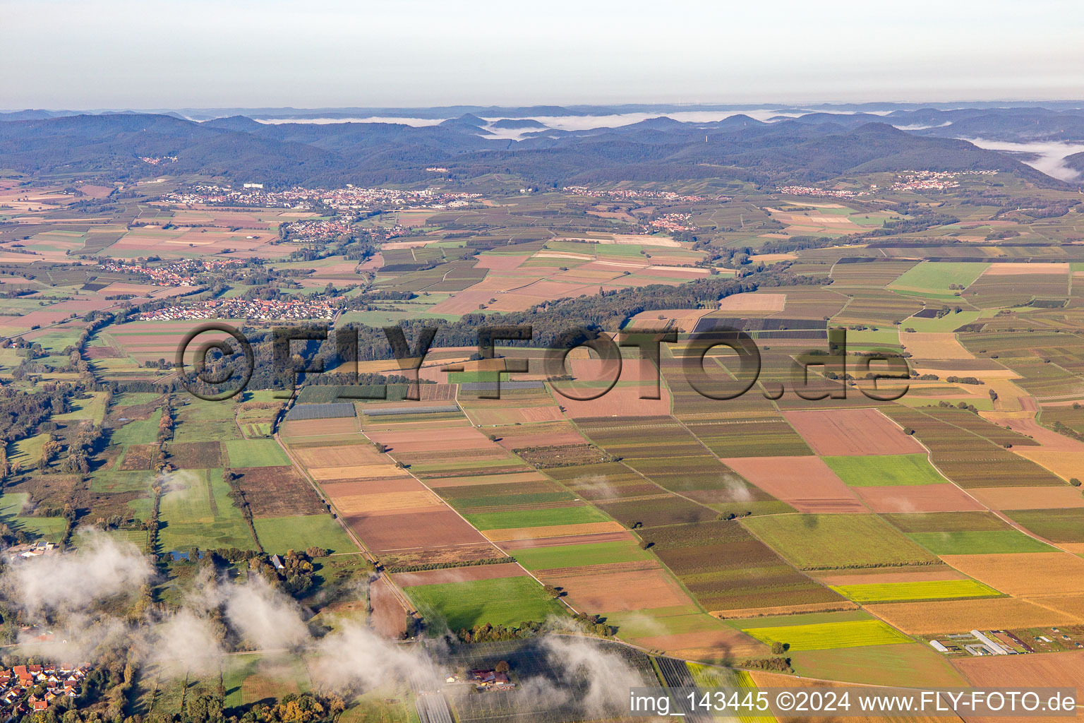Billigheimer Bruch and Horbachtal in the district Mühlhofen in Billigheim-Ingenheim in the state Rhineland-Palatinate, Germany